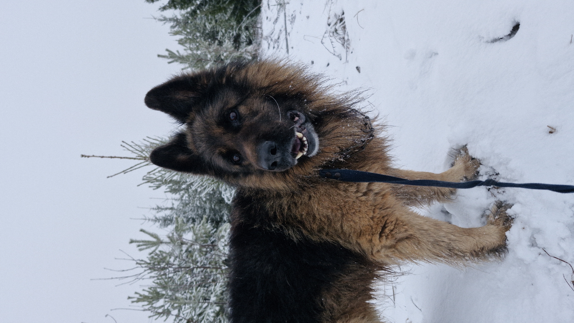 Daily life documented in snowy Otchor, Russia