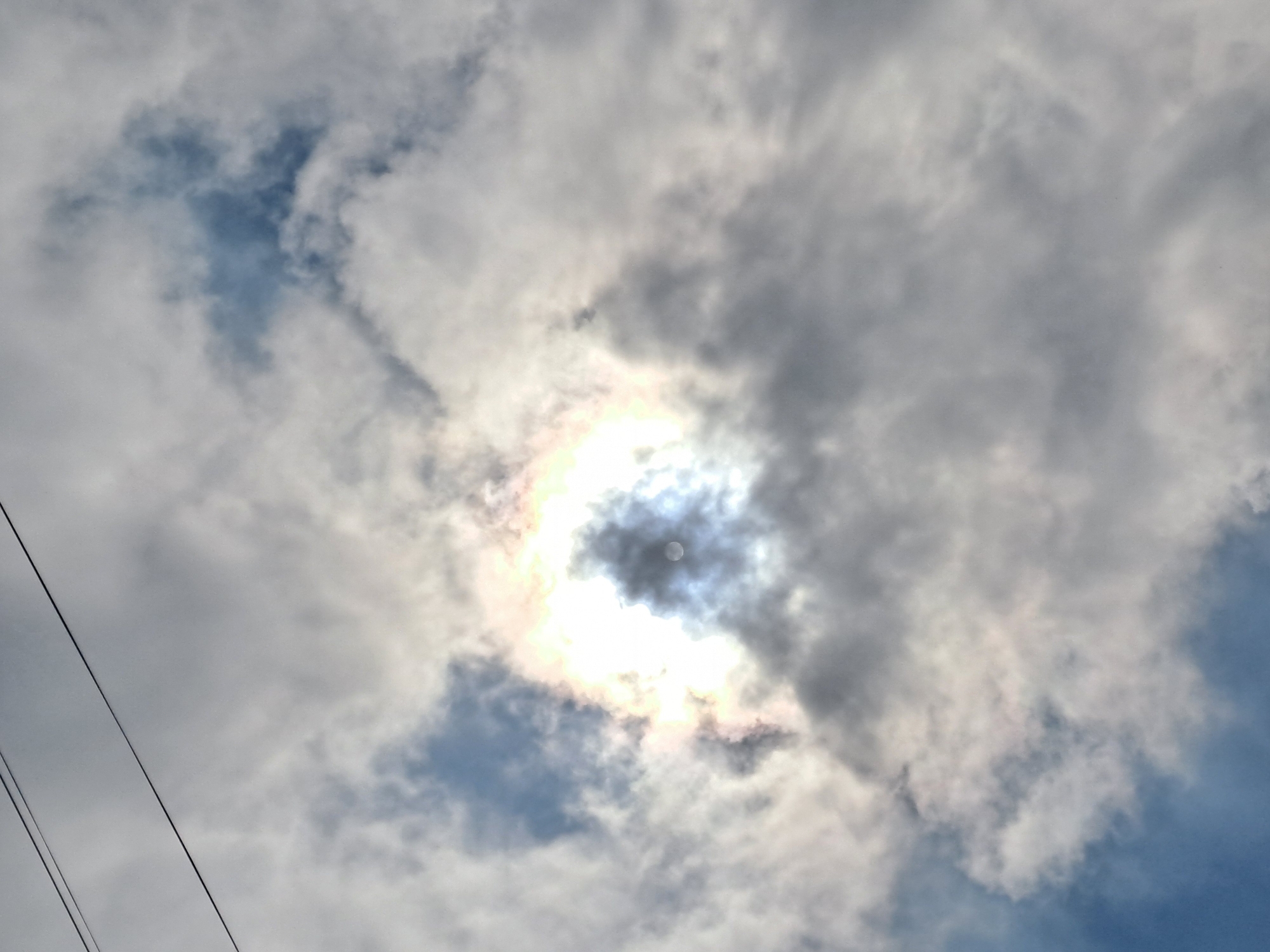 Nature observations captured in Меткомелино: cloudy skies, dandelion seeds