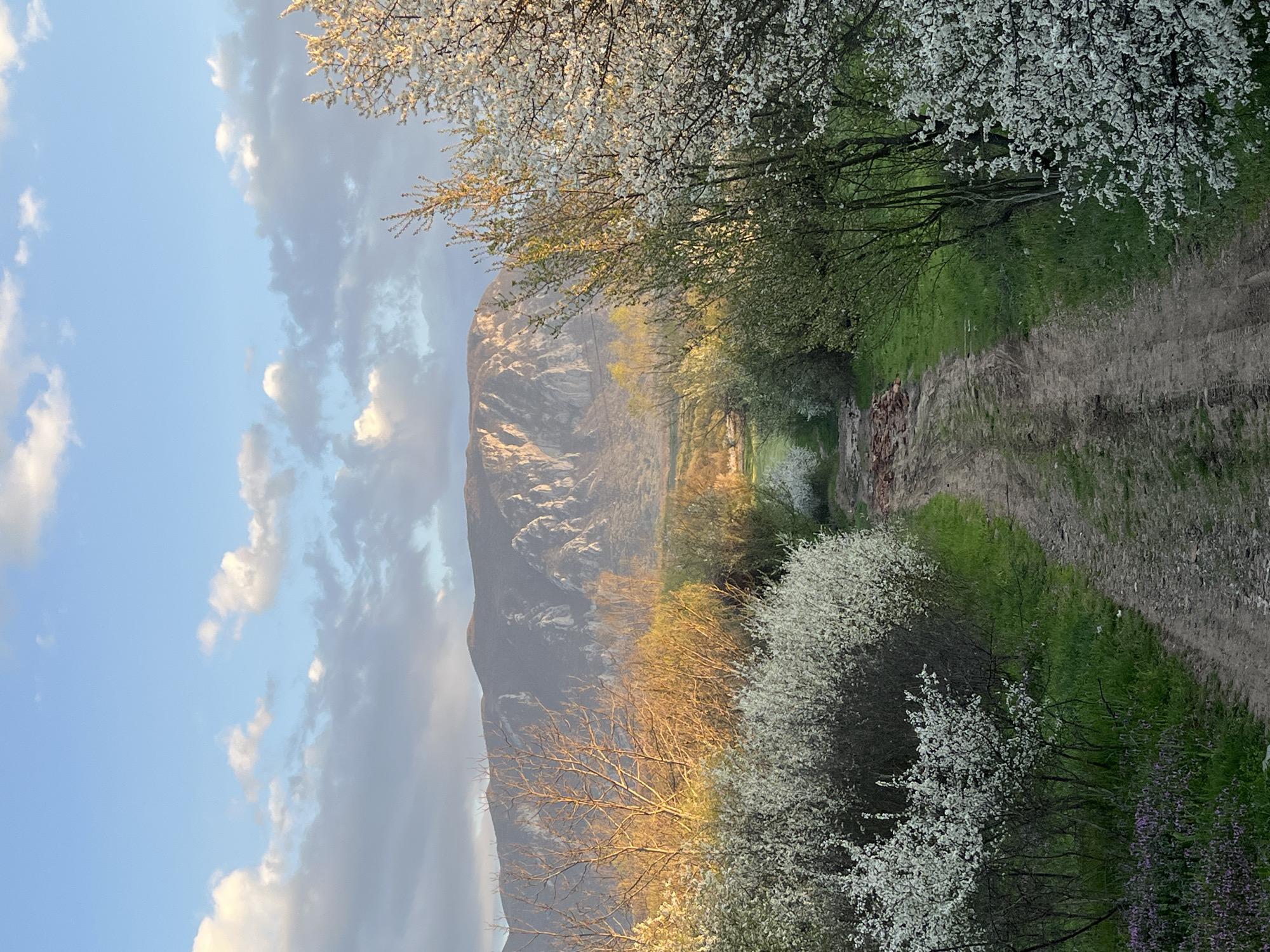 Spring pastoral scenes documented in rural Bulgaria countryside