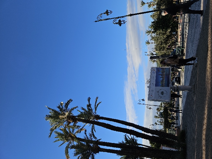 Afternoon stroll through Marrakesh parks and streets documented