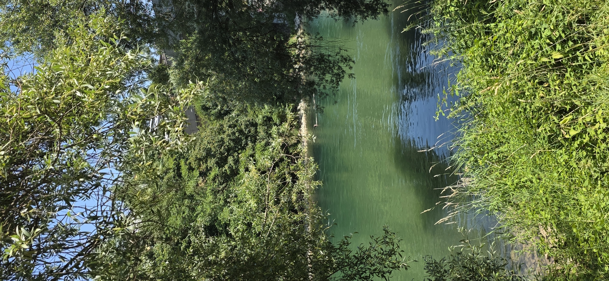 Lazy summer morning along Zurich's green riverbanks