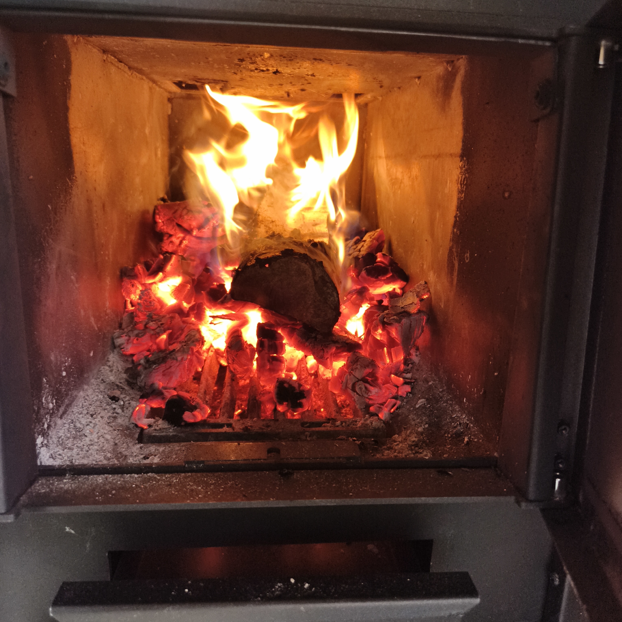 Dacha day in Chaikovsky: sauna, shashlik, and a muddy Samoyed