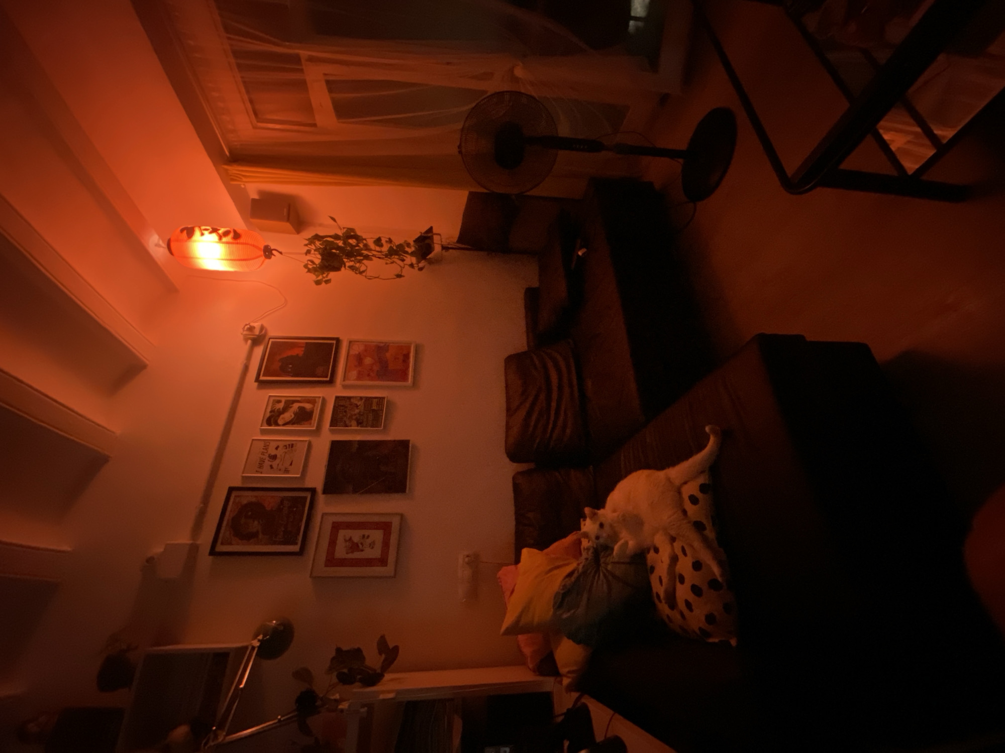 Barcelona resident captures quiet evening at home