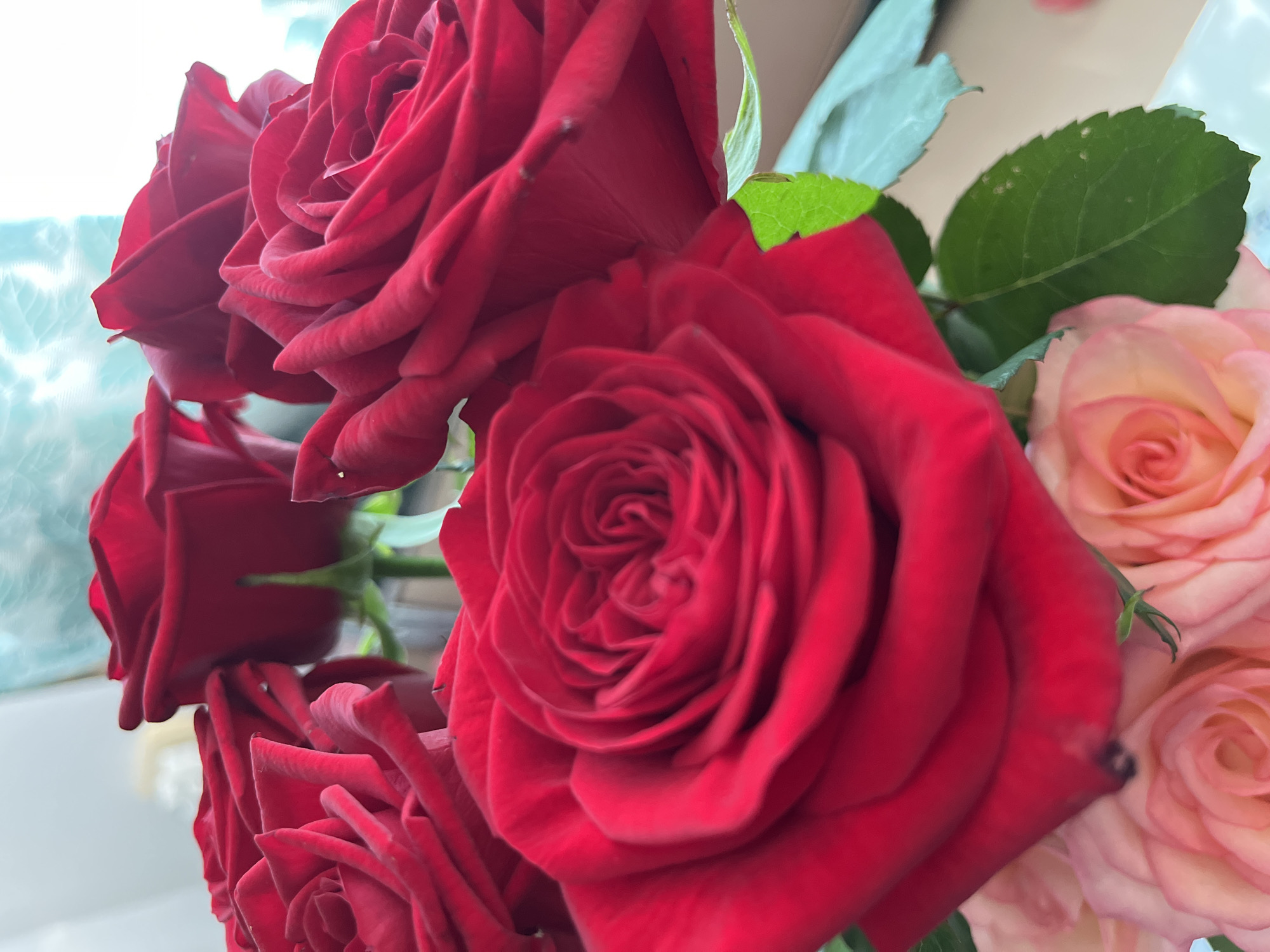 Close-up angles on red and pink rose bouquets in Samara