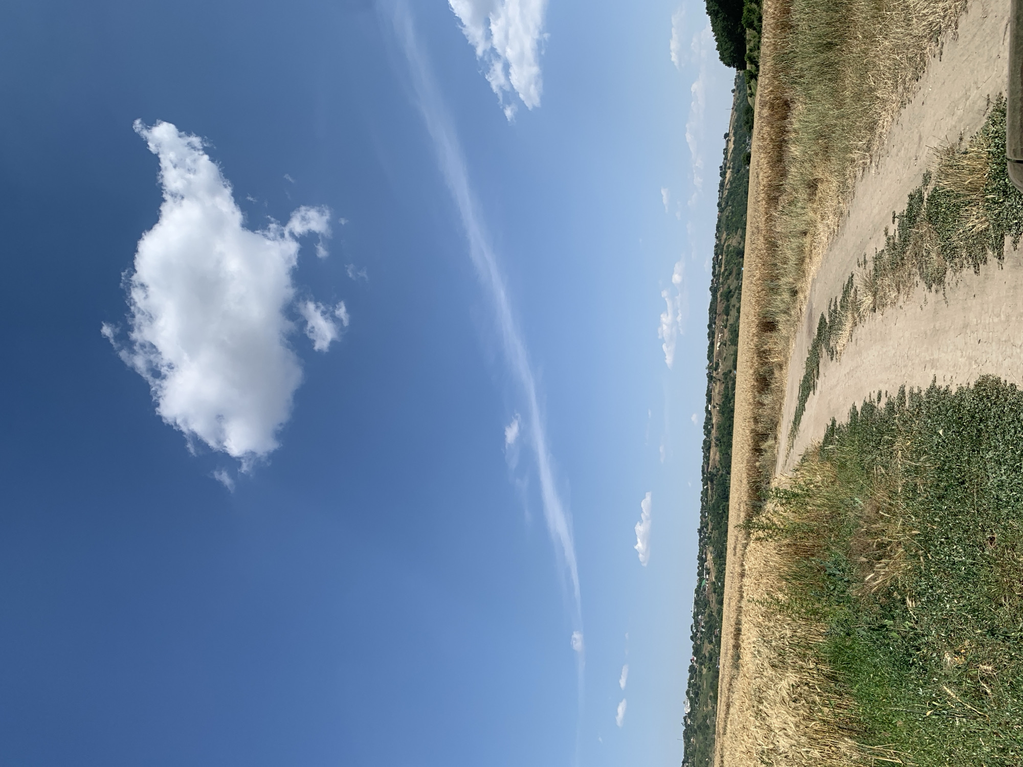 Golden wheat fields at harvest time in rural Moldova