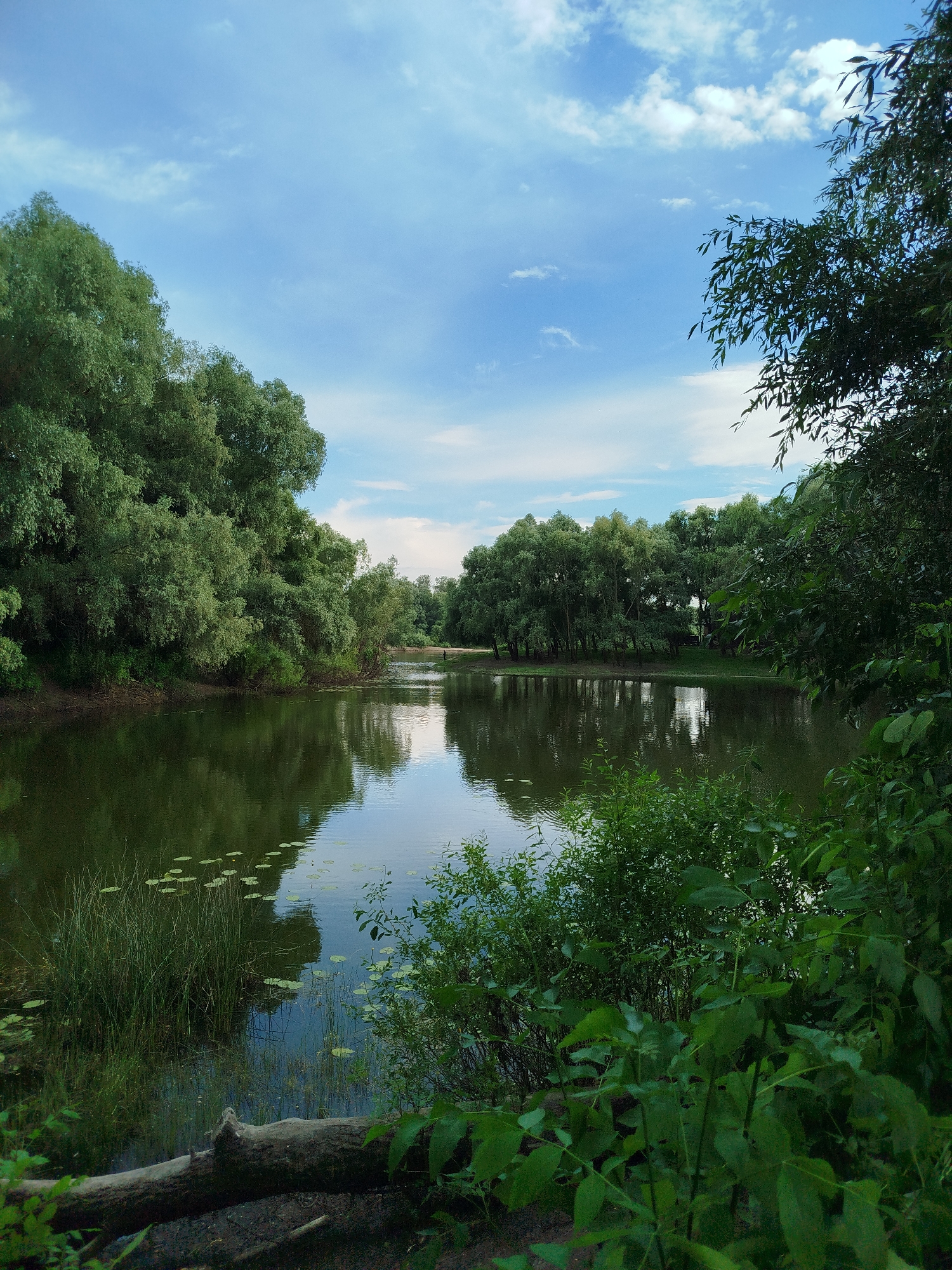 Summer afternoon along Chernihiv's rivers, parks, and green spaces