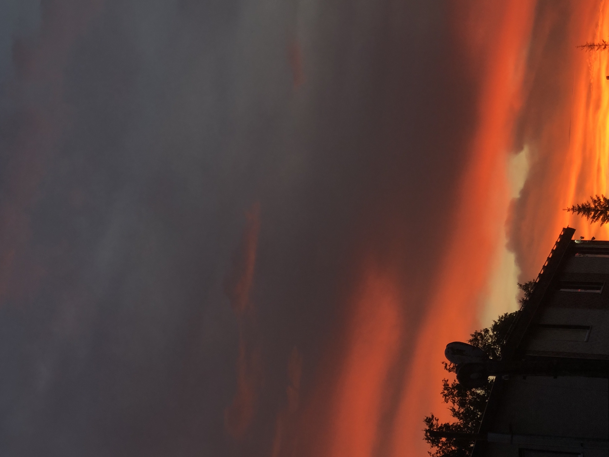 Kamchatka twilight skies and close-up botanicals, one morning