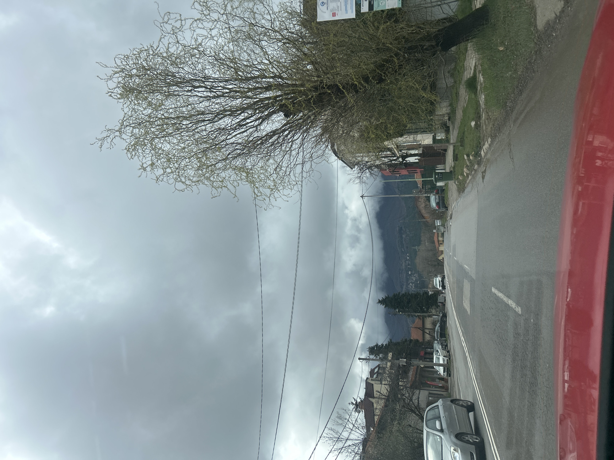 Morning street scene captured from vehicle in Sofia