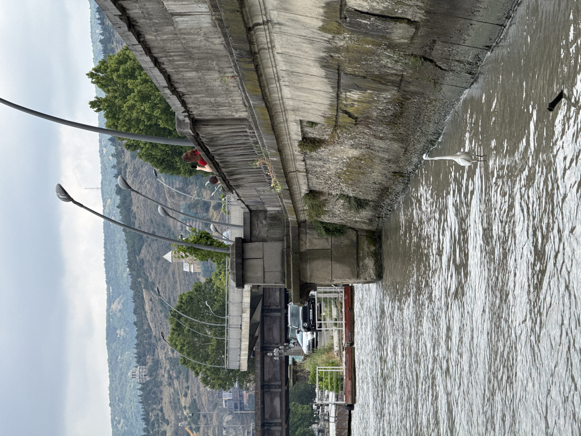 Tbilisi snapshots: river wildlife, civic architecture, and street greenery