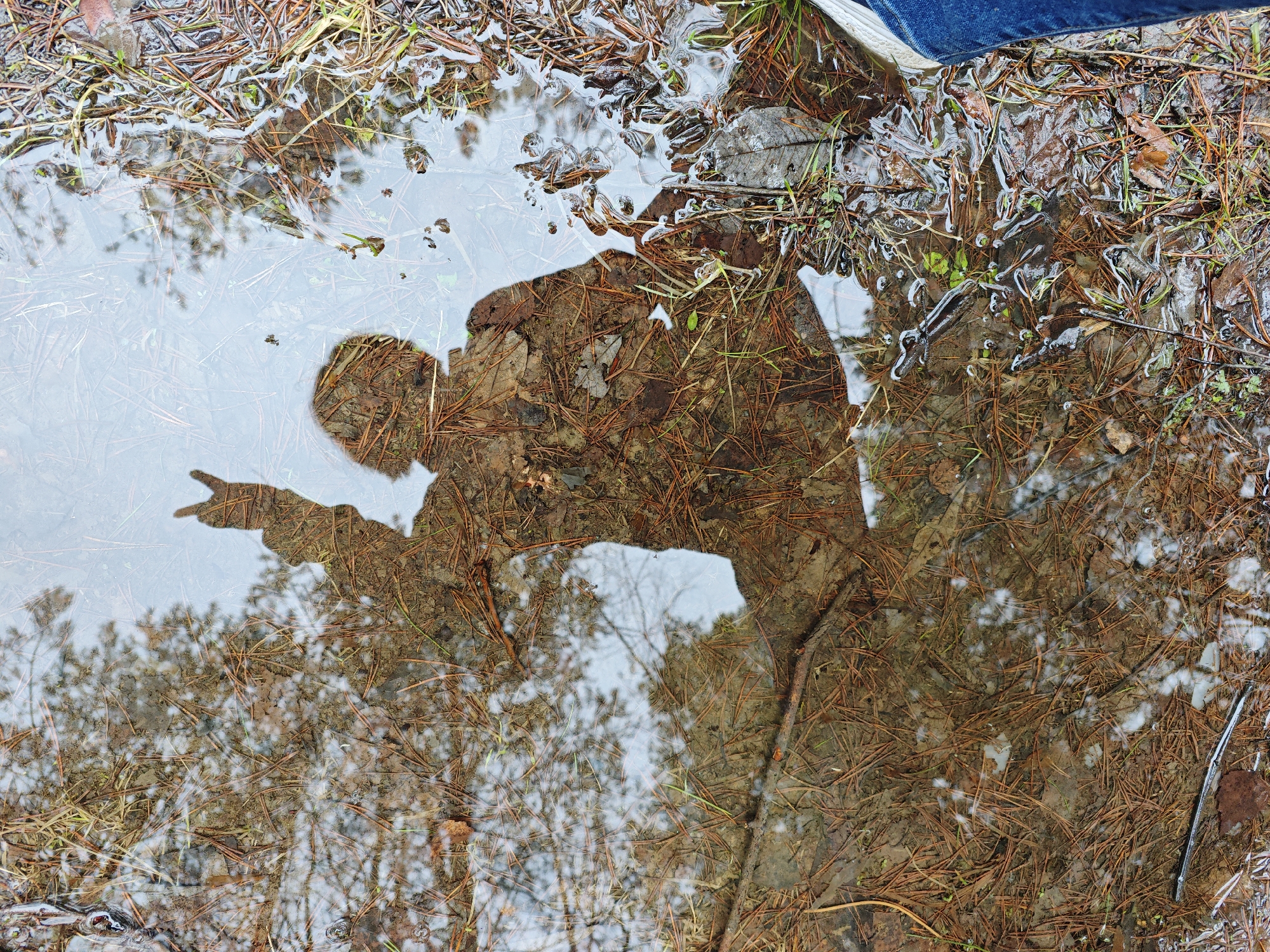 Person makes peace sign reflected in puddle, Марковский Russia