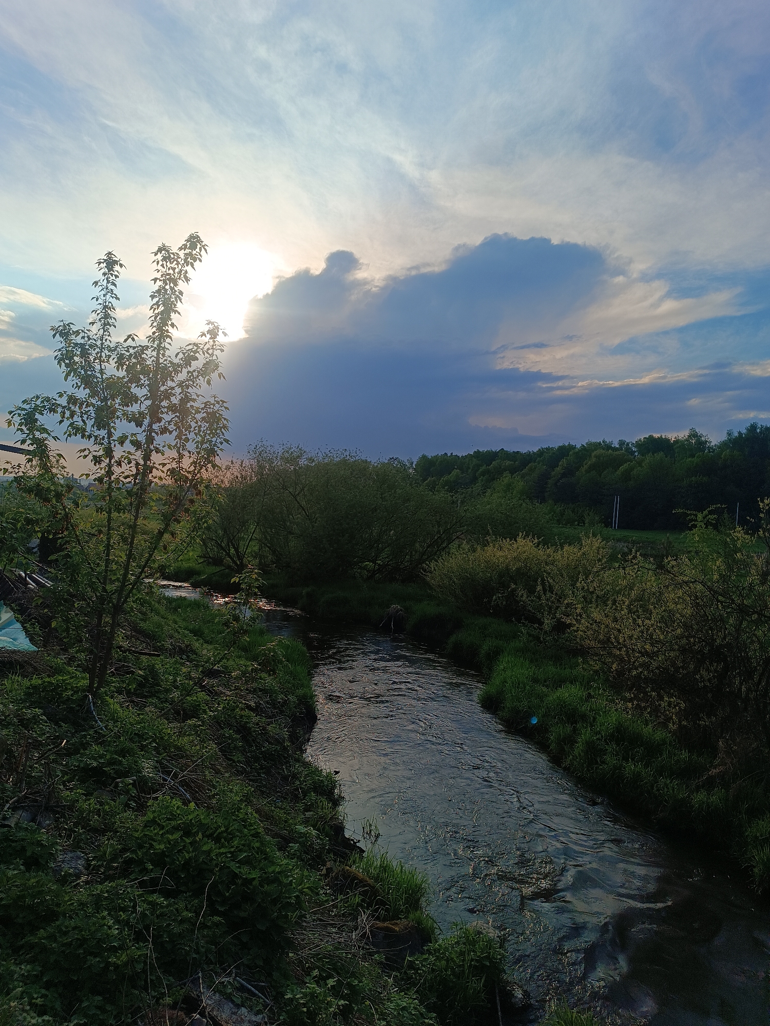 Rural life documented in Motyakovo: stream, house, dog