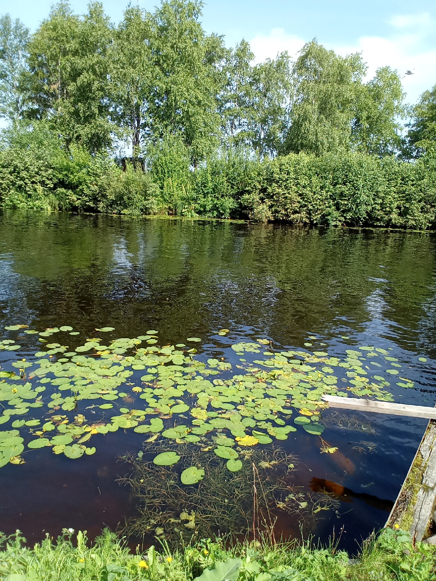 Strolling Belozersk's canal on a sunny July morning
