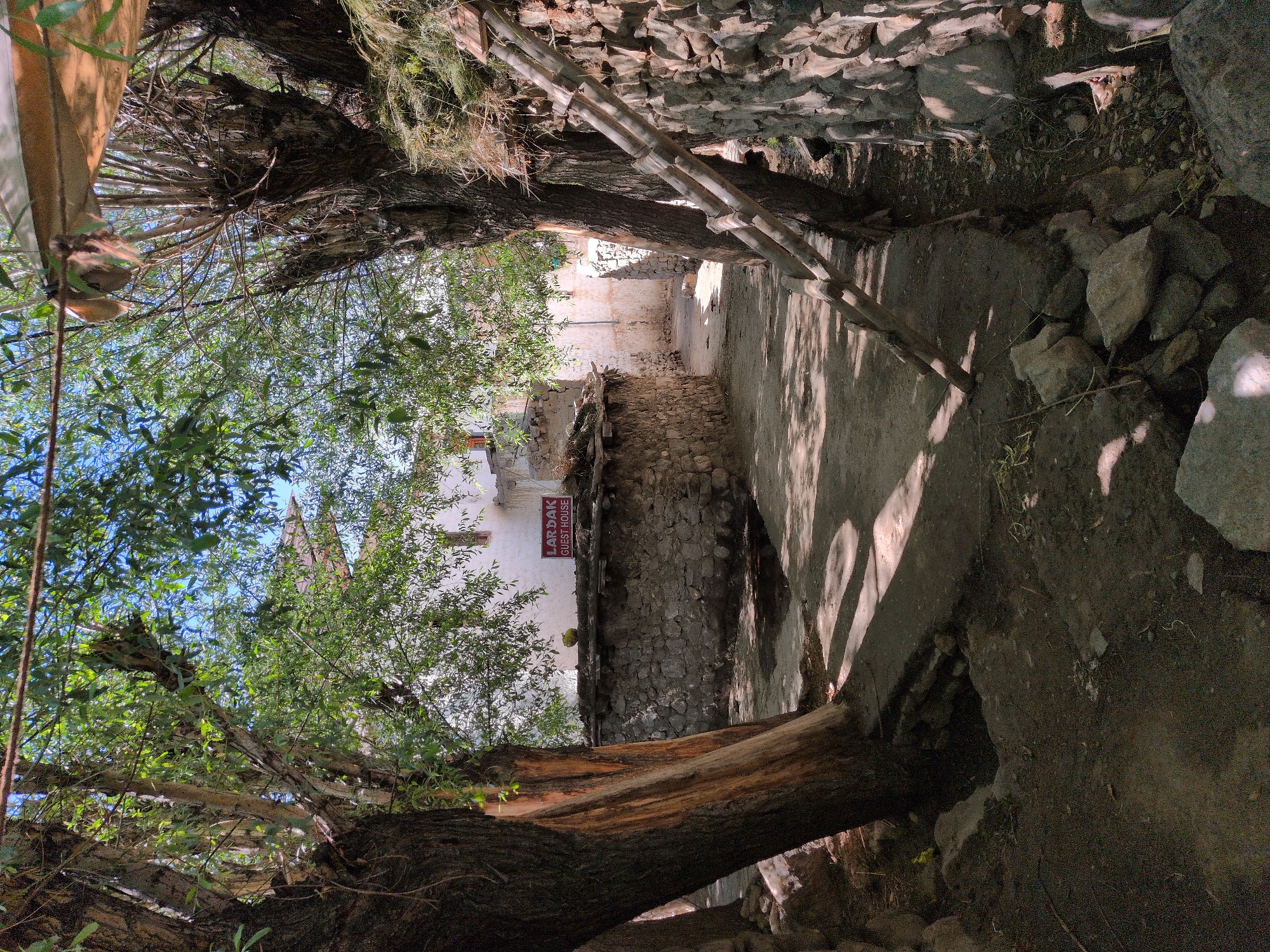 Wandering the old stone alleyways and backstreets of Leh