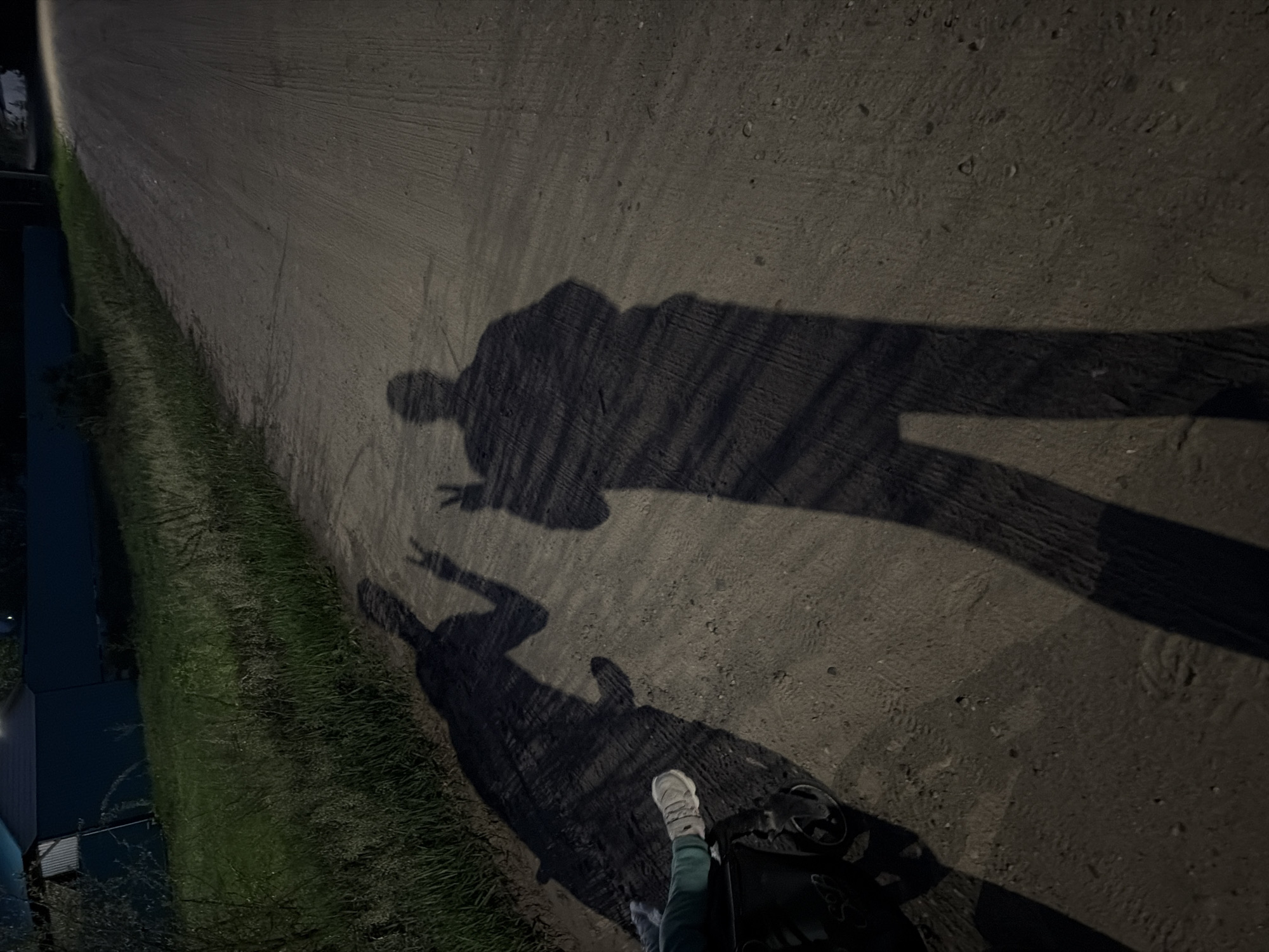Two people meet on forest road in Chaikovsky at dusk