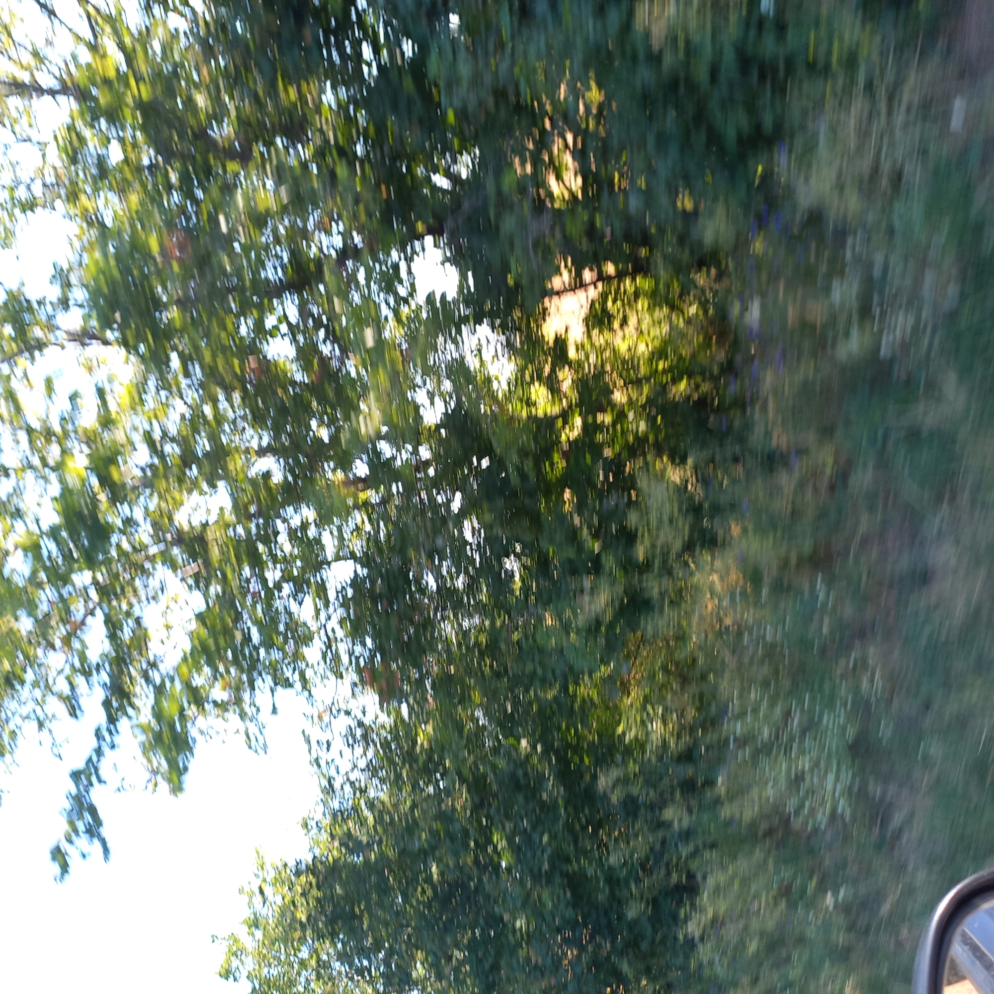 Klyntsi, Ukraine