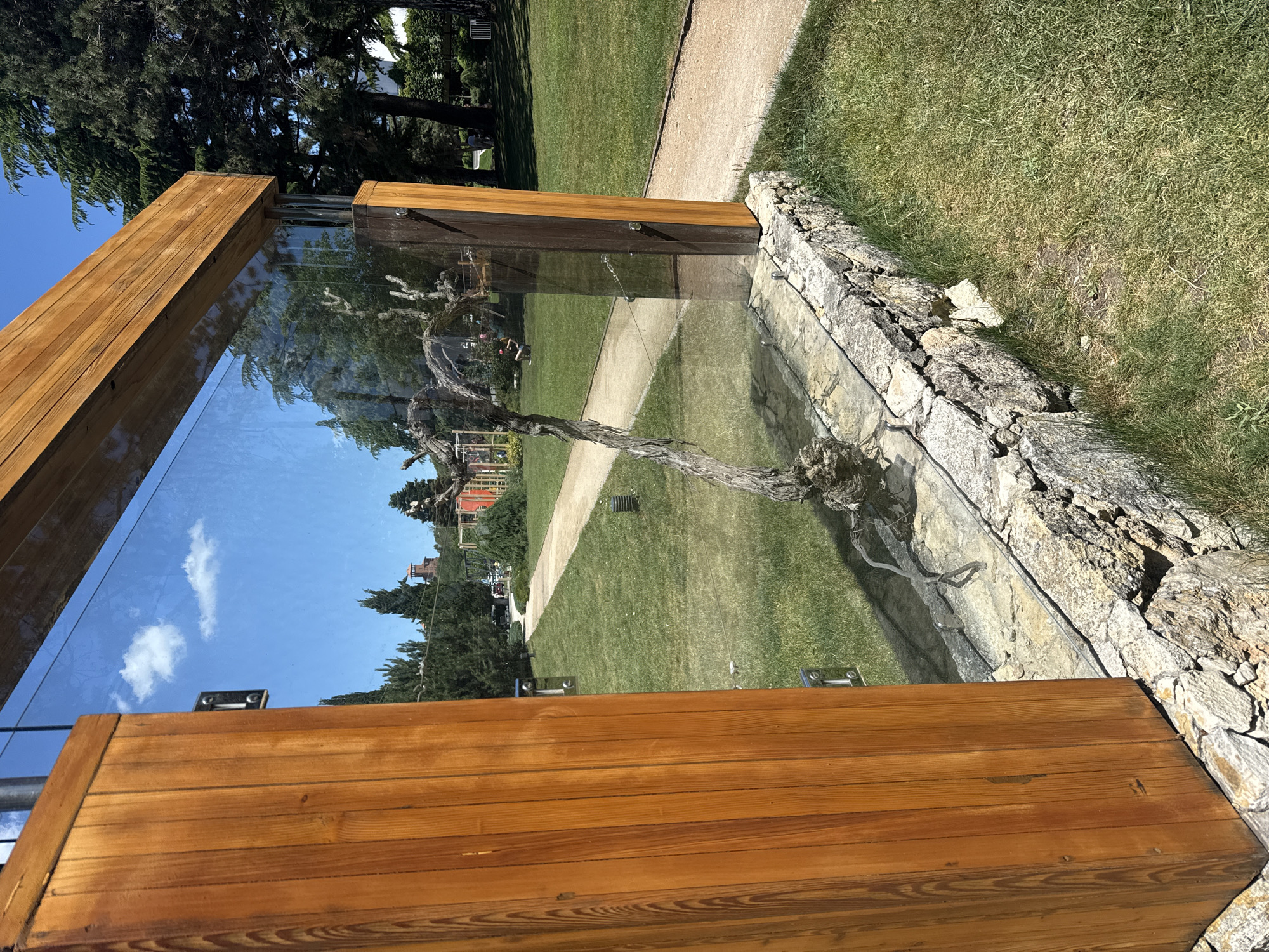 Sunny day at a landscaped park with gardens, vineyard, and modern building