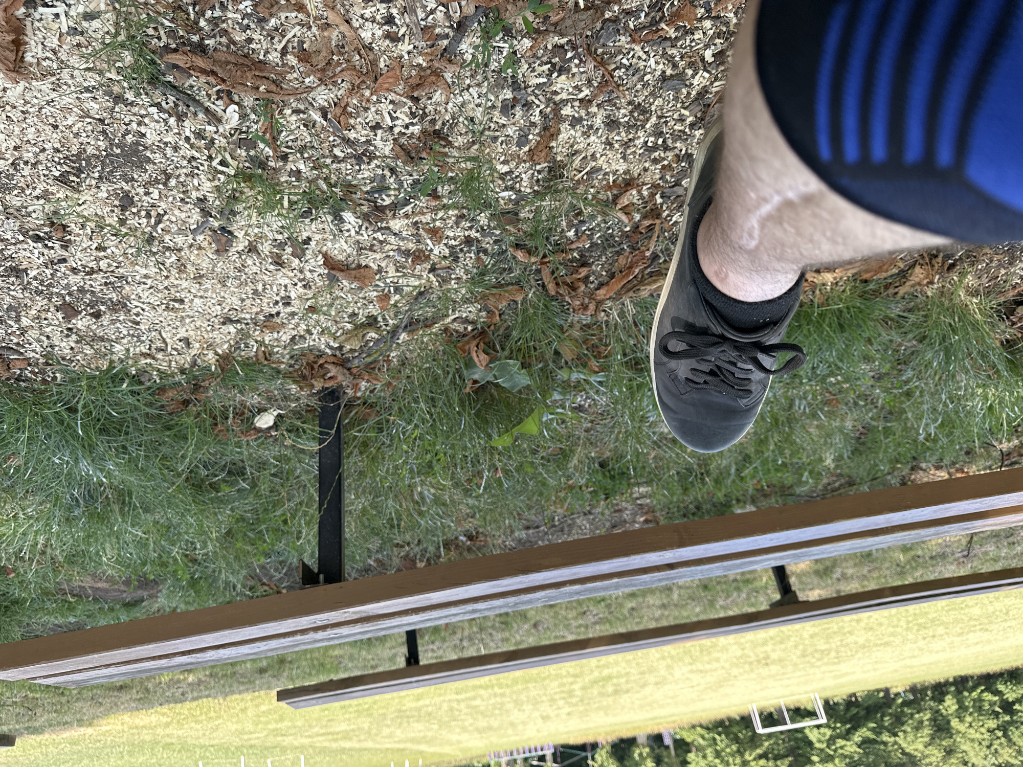 Resting in a Makiv park, leg injury visible, mid-summer day