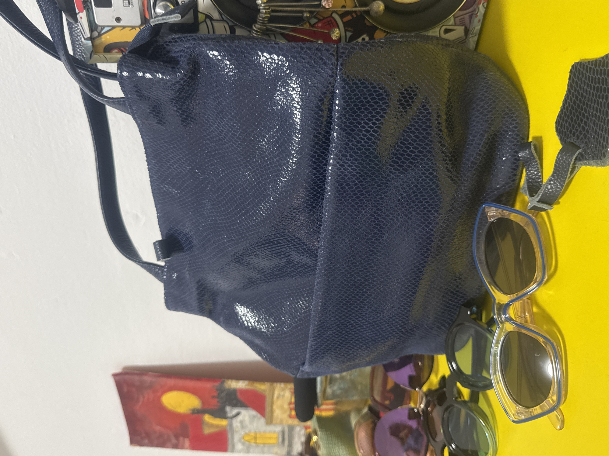 Personal items and pets documented in Ramat Gan home