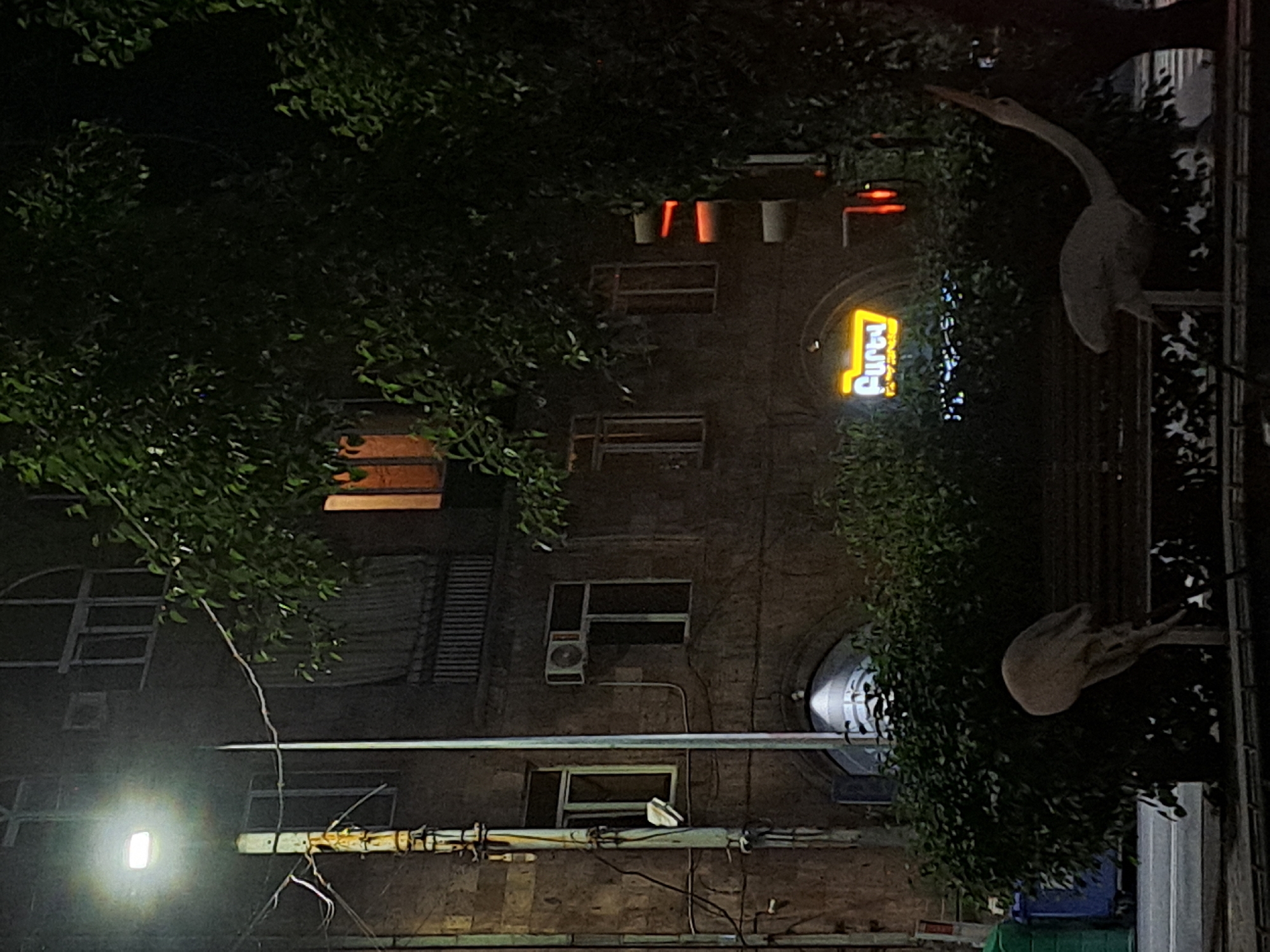 Evening dining experience documented at Yerevan restaurant