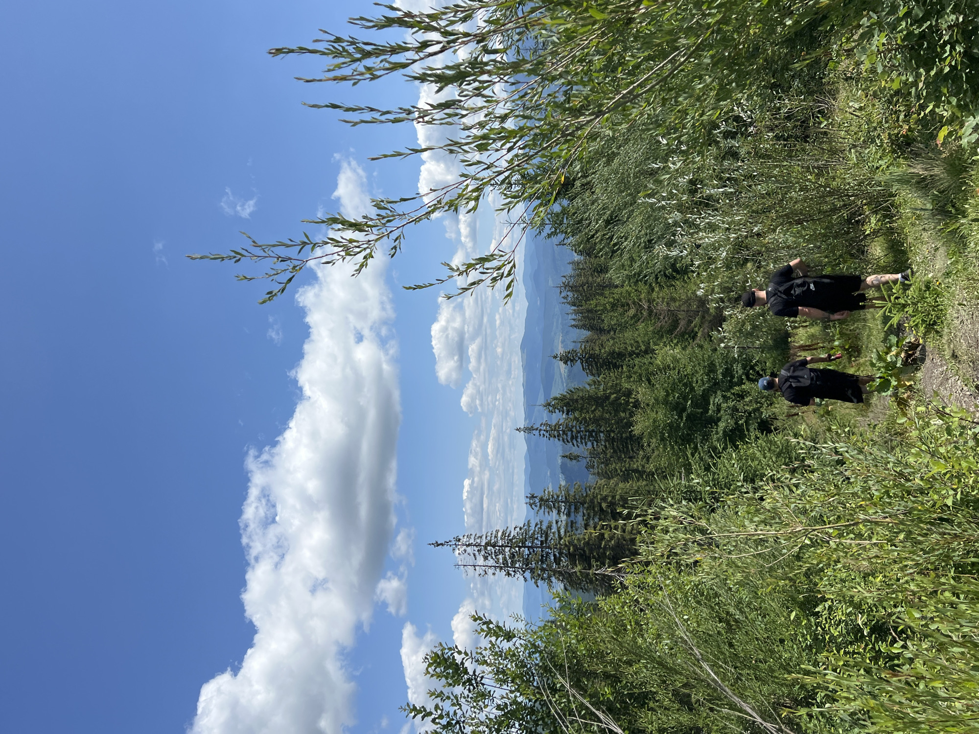 Hiking through forested mountain trails near Chorna Tysa, Ukraine