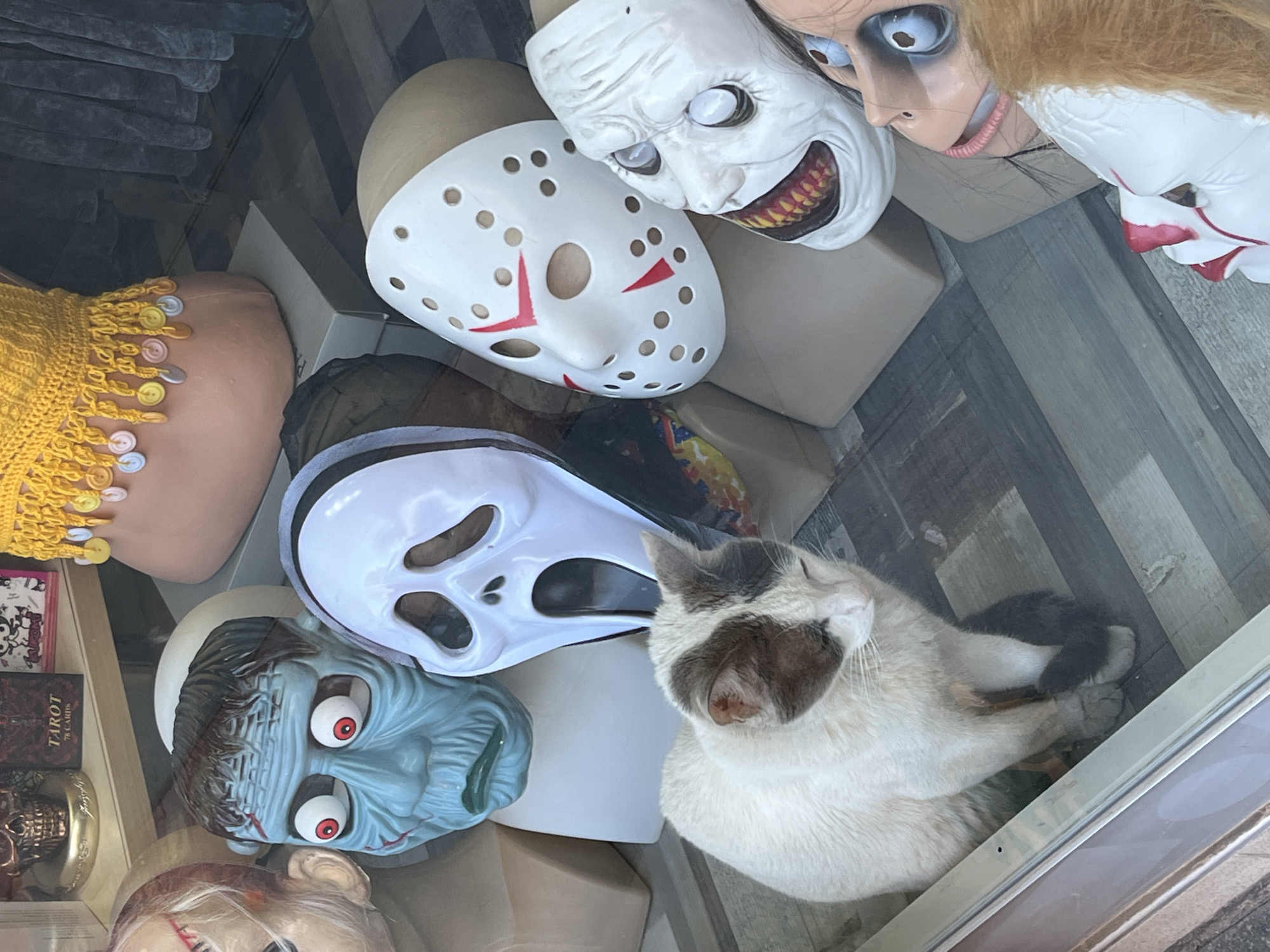 Street scenes and Halloween displays captured in Alanya, Turkey