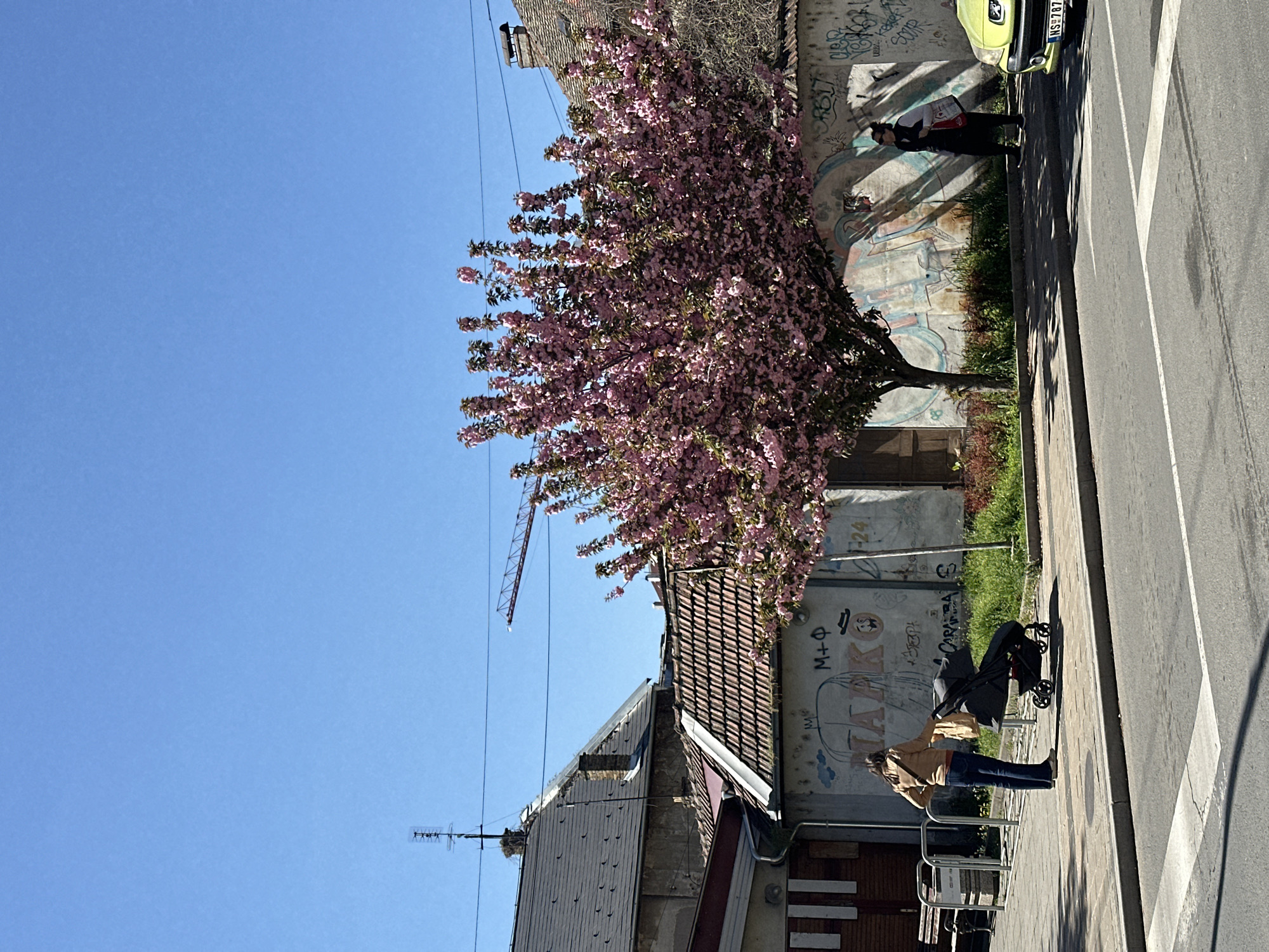 Woman documents spring morning routine in Novi Sad, Serbia