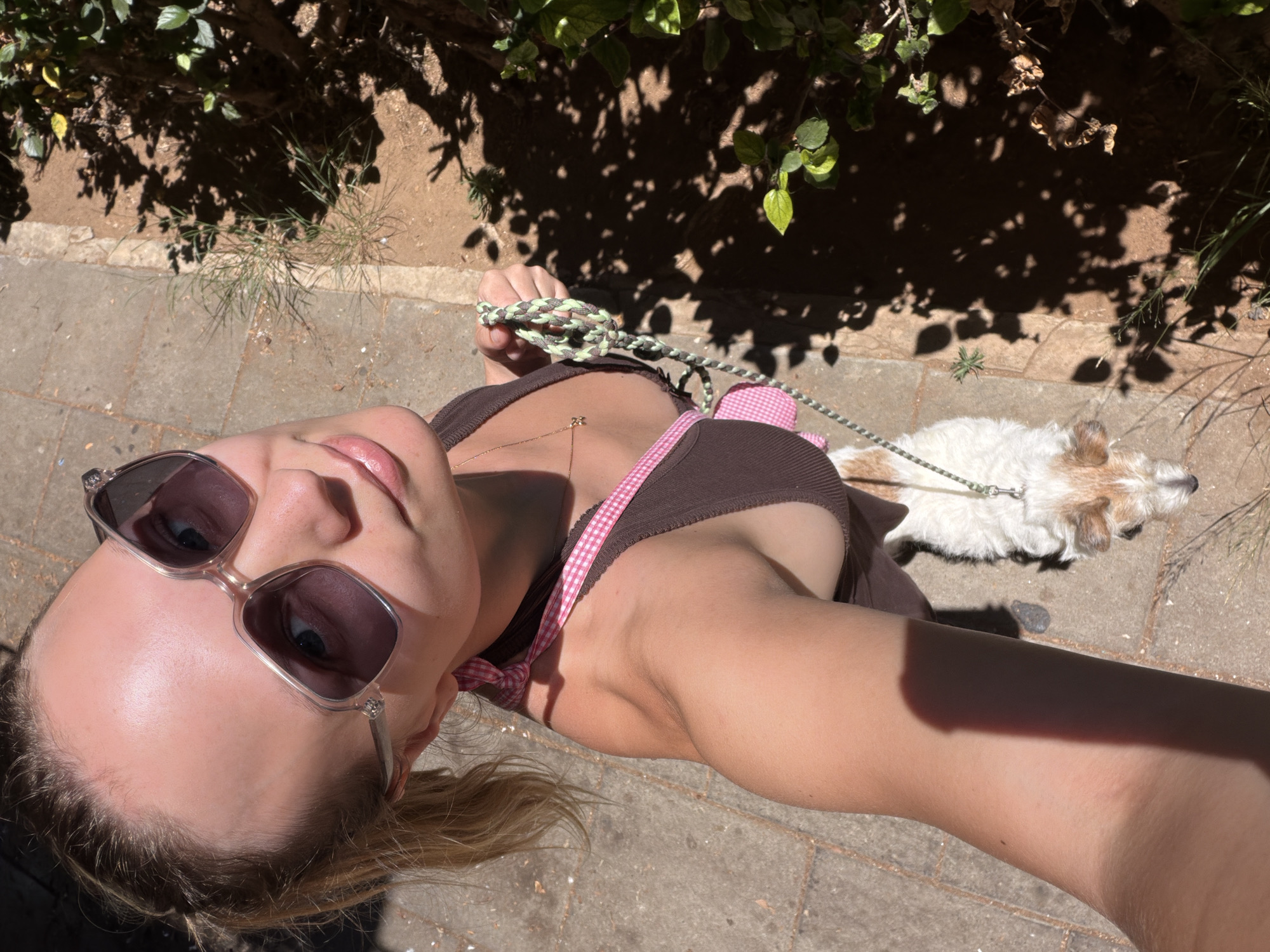 Dog walk in Tel Aviv sunlight, tagged as a morning routine