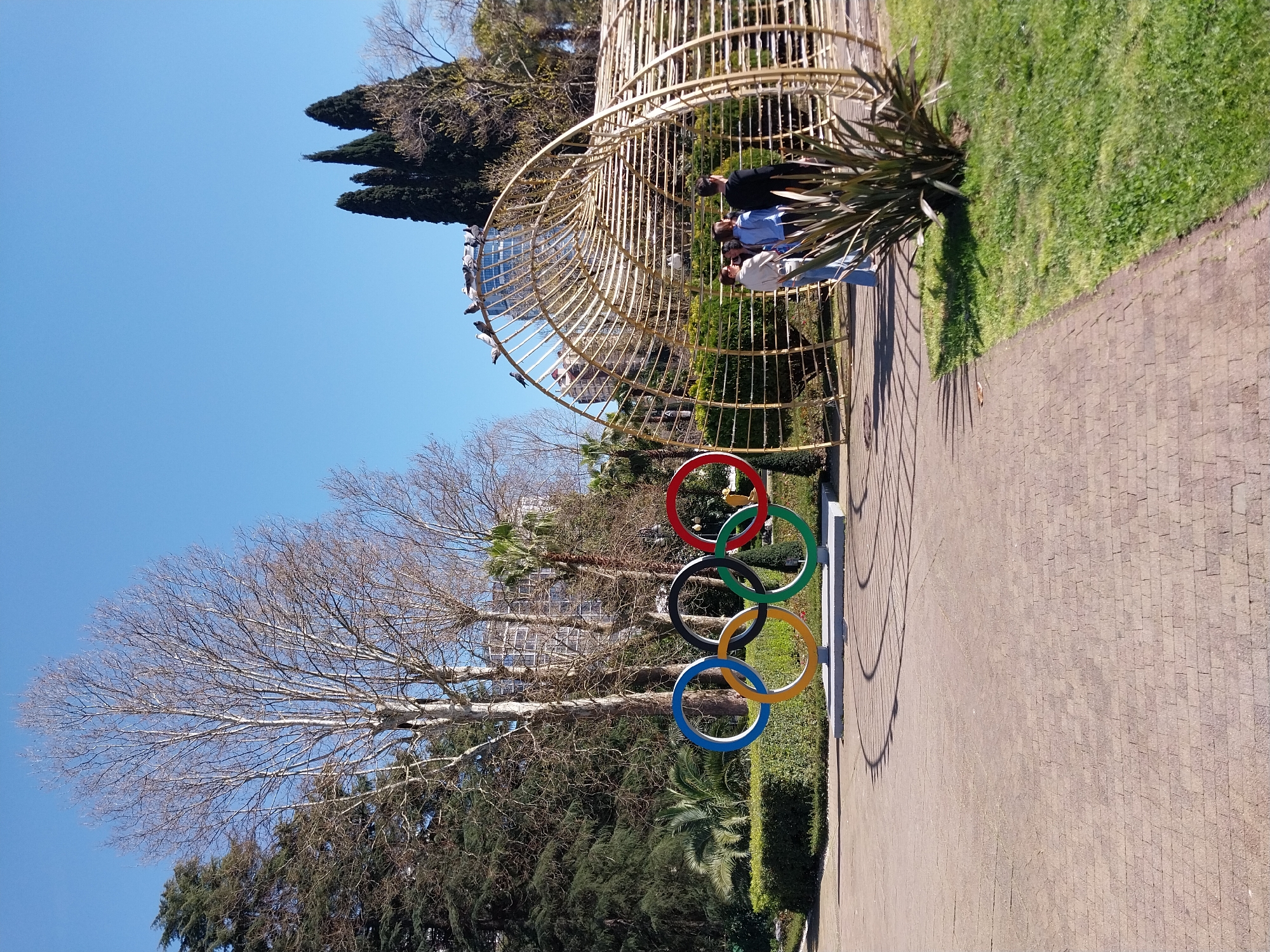 Sunny garden scene documented in Sochi, Russia