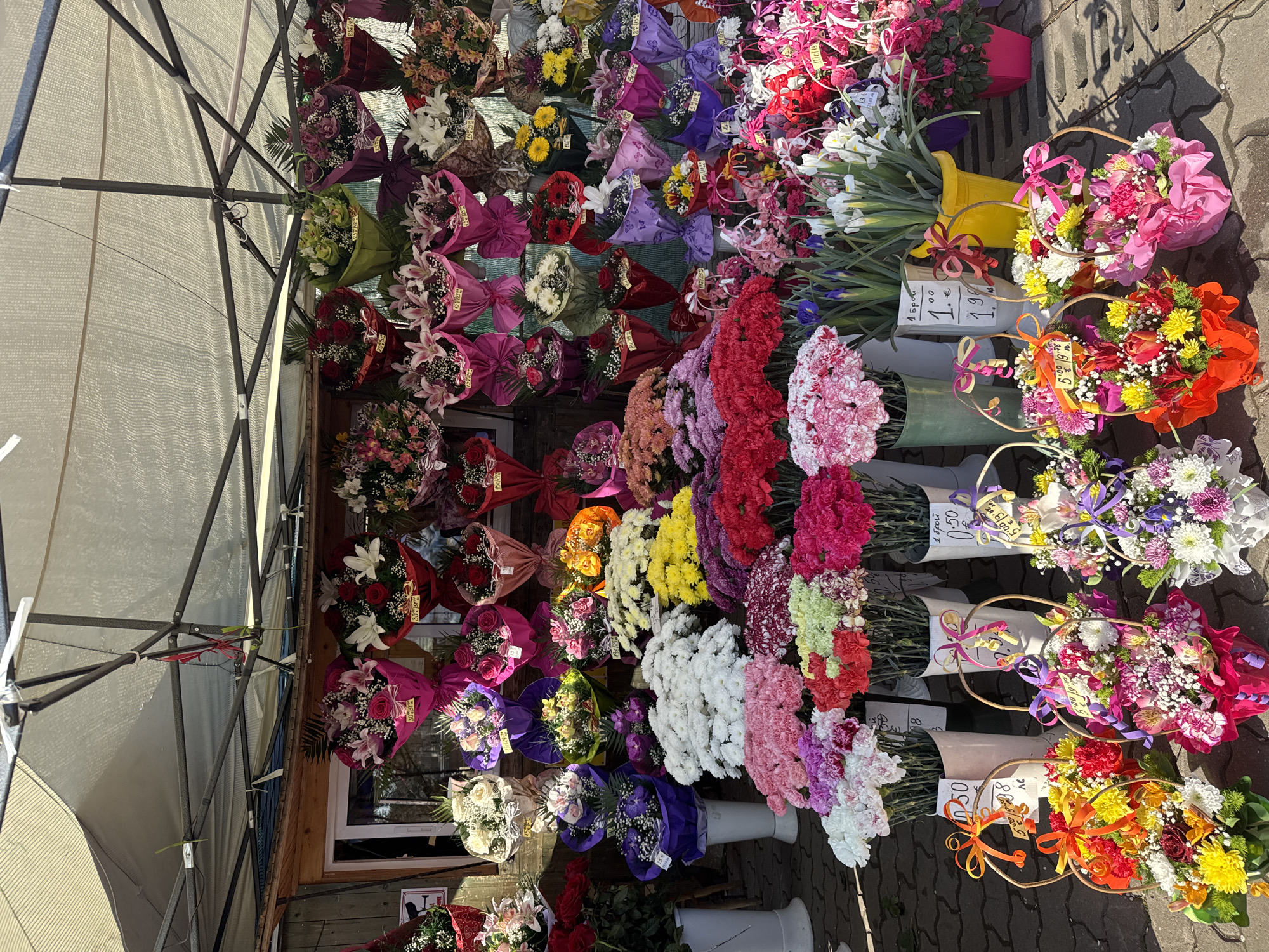 Morning flower purchase documented at Sofia stall
