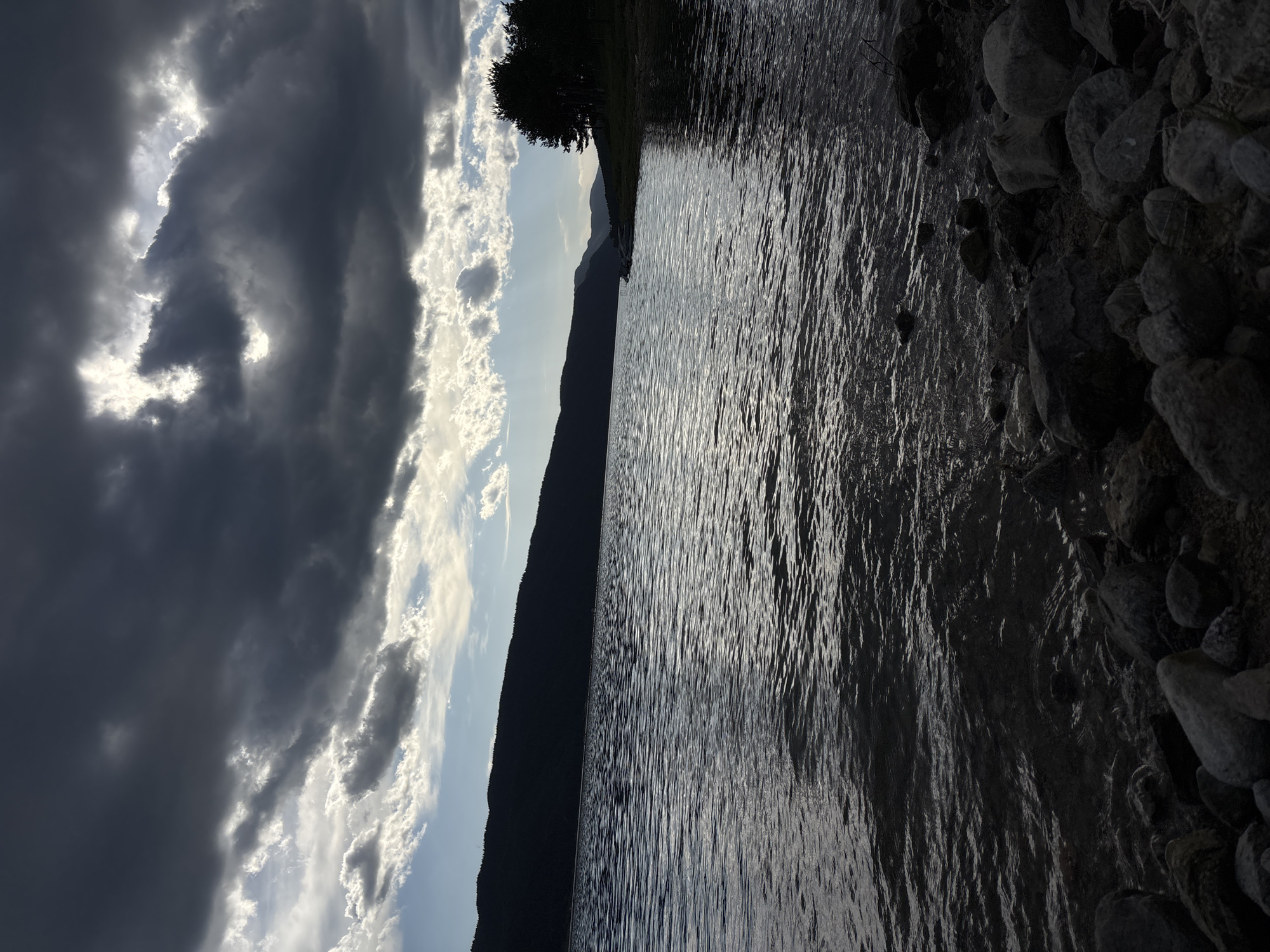 Witness documents four-hour lakeside nature photography session