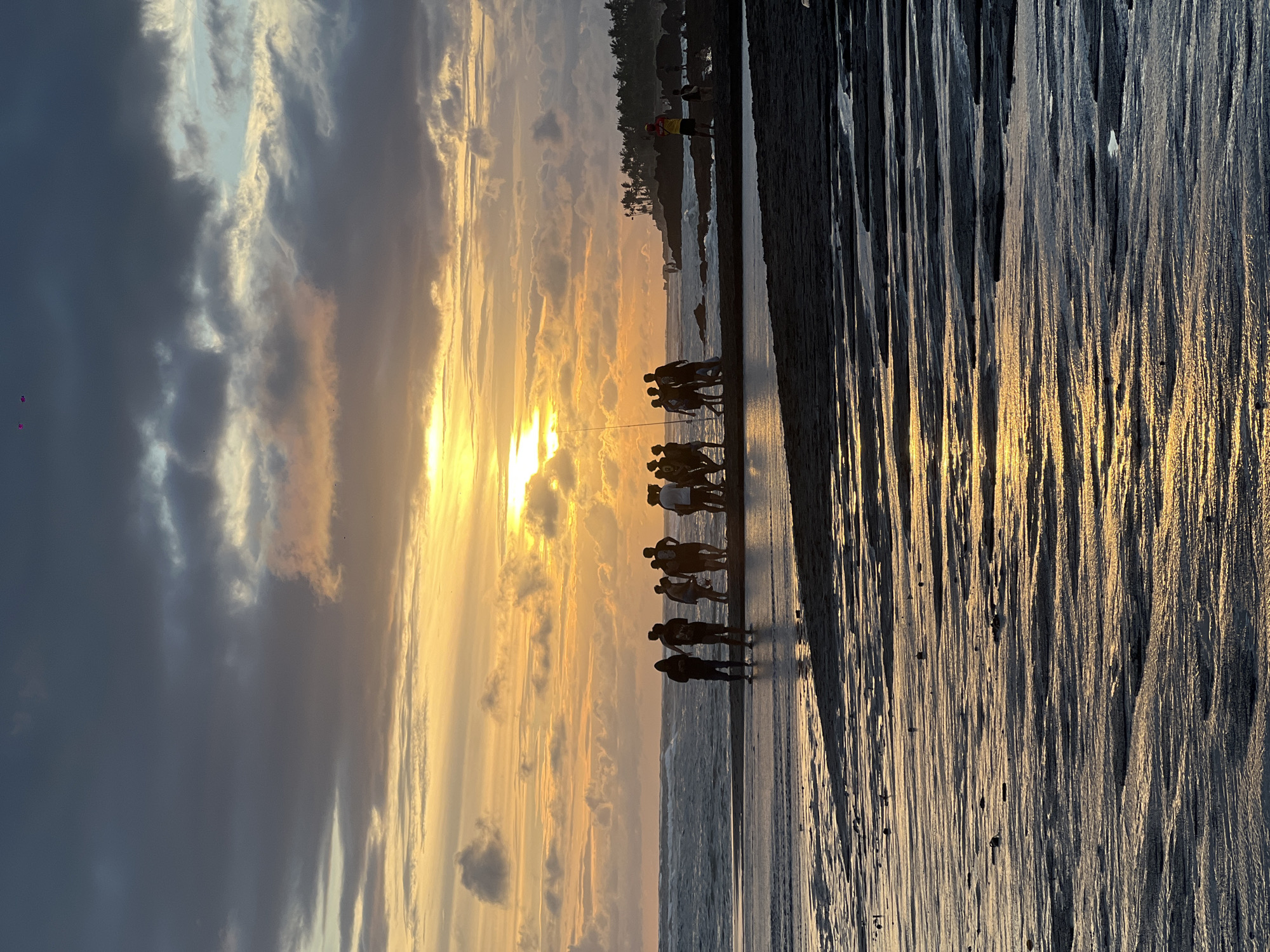 Sunset beach scenes with dogs and visitors captured in Mengwi