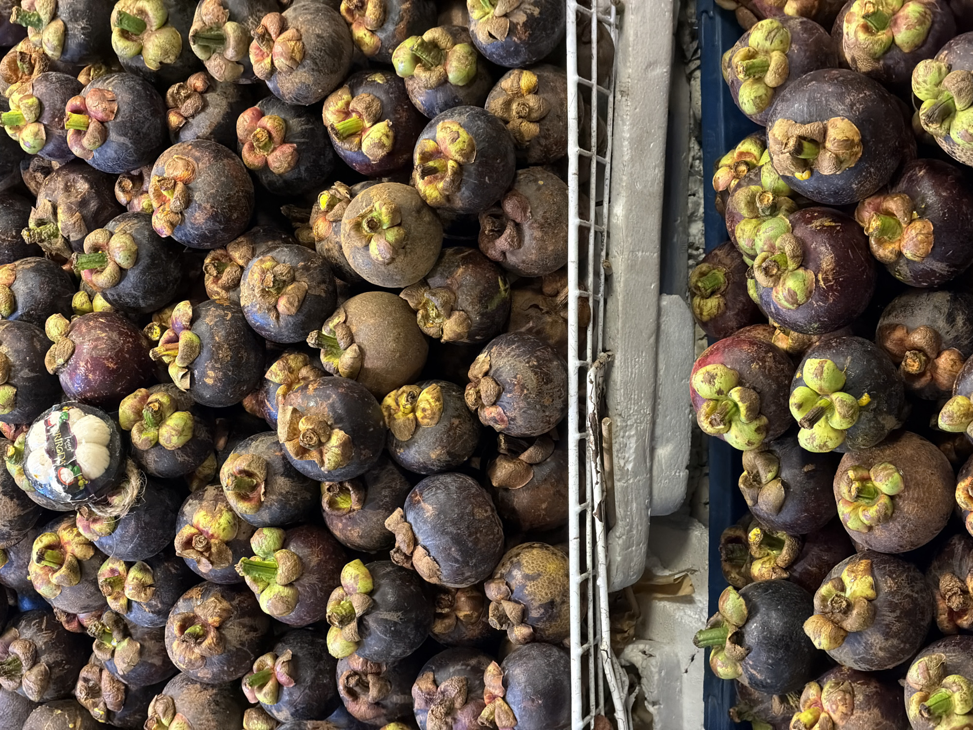 Tropical fruit vendor displays abundant mangoes, mangosteens in Thailand