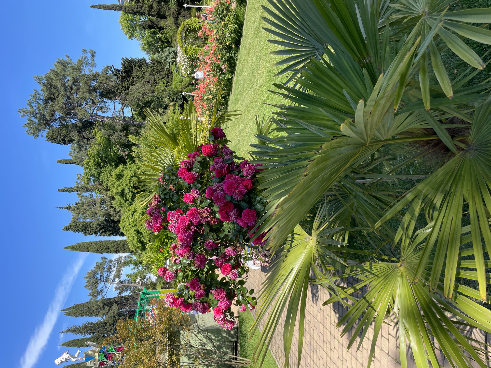 Tourist explores Sochi amusement park and gardens on sunny afternoon