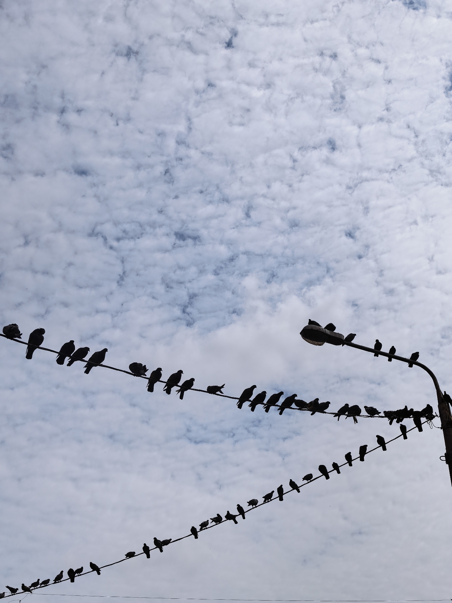 Krasnoyarsk morning: clouds, pigeons, and street-level details