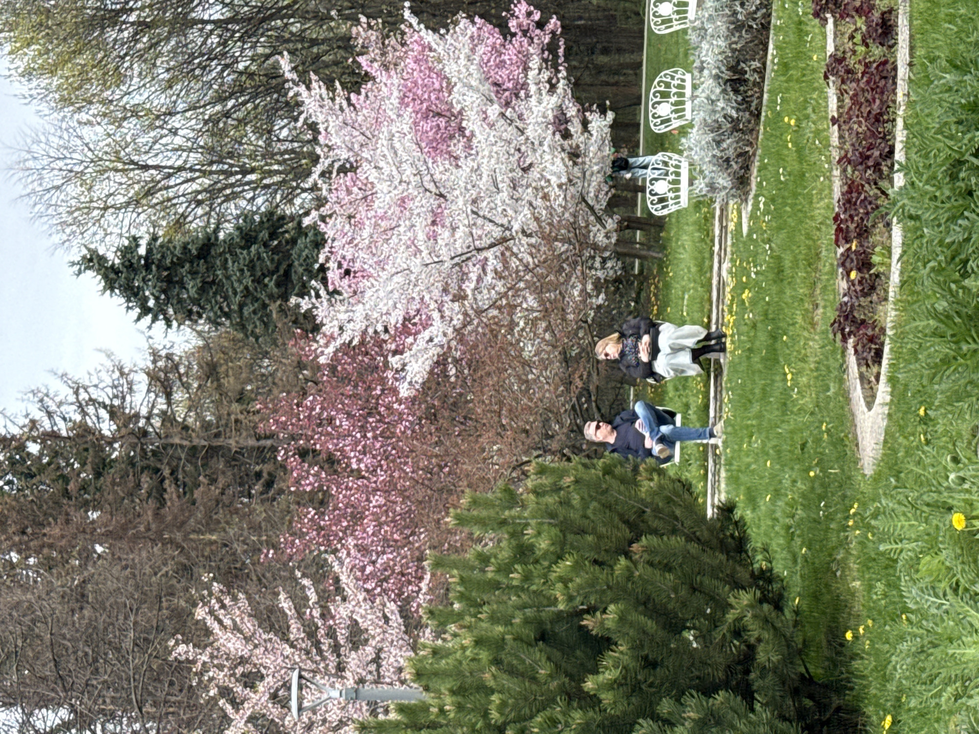 Spring Garden Scene Documented in Multiple Views