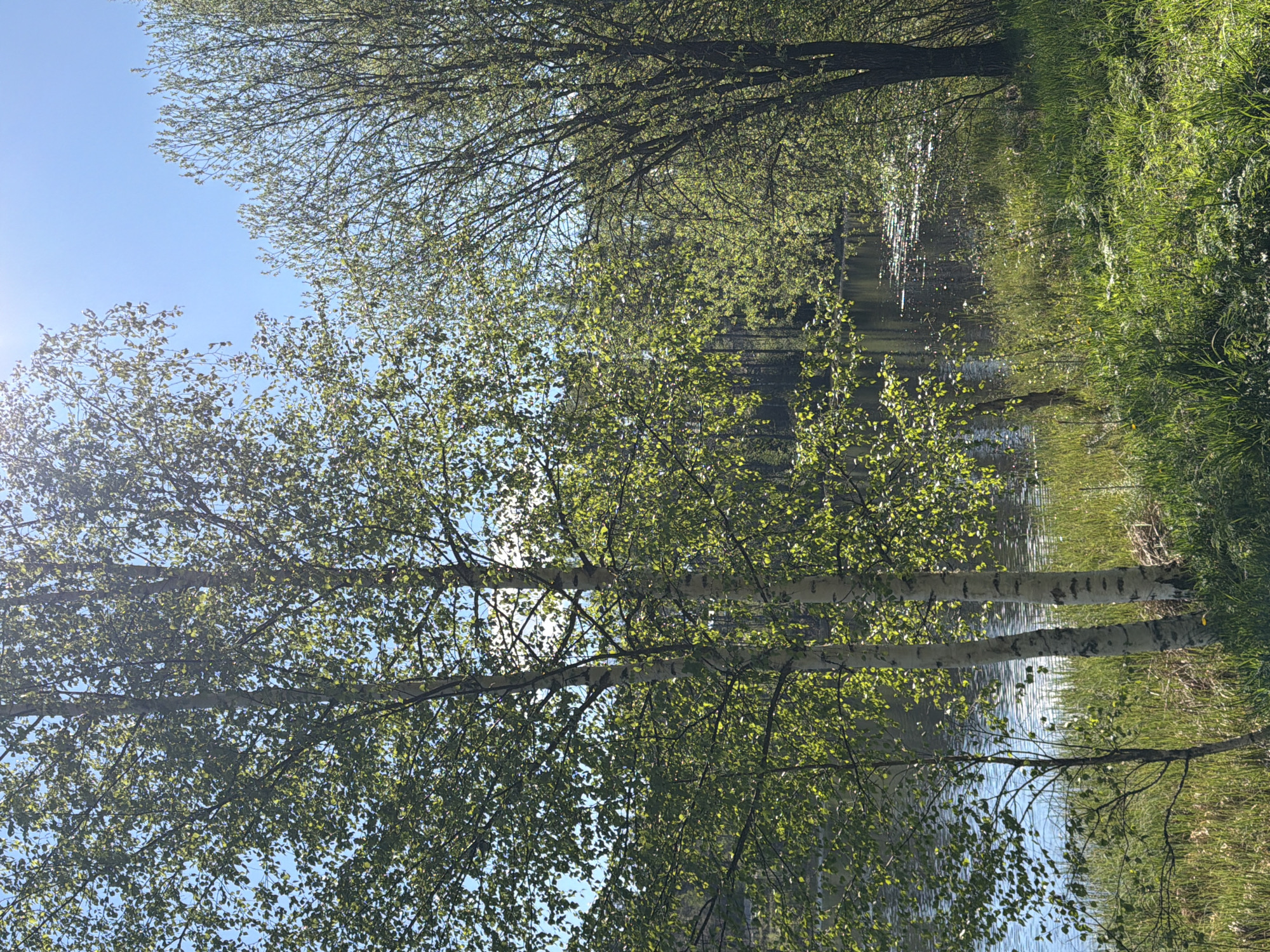 Lakeside afternoon documented near Vaskelovo, Russia with selfies and scenery