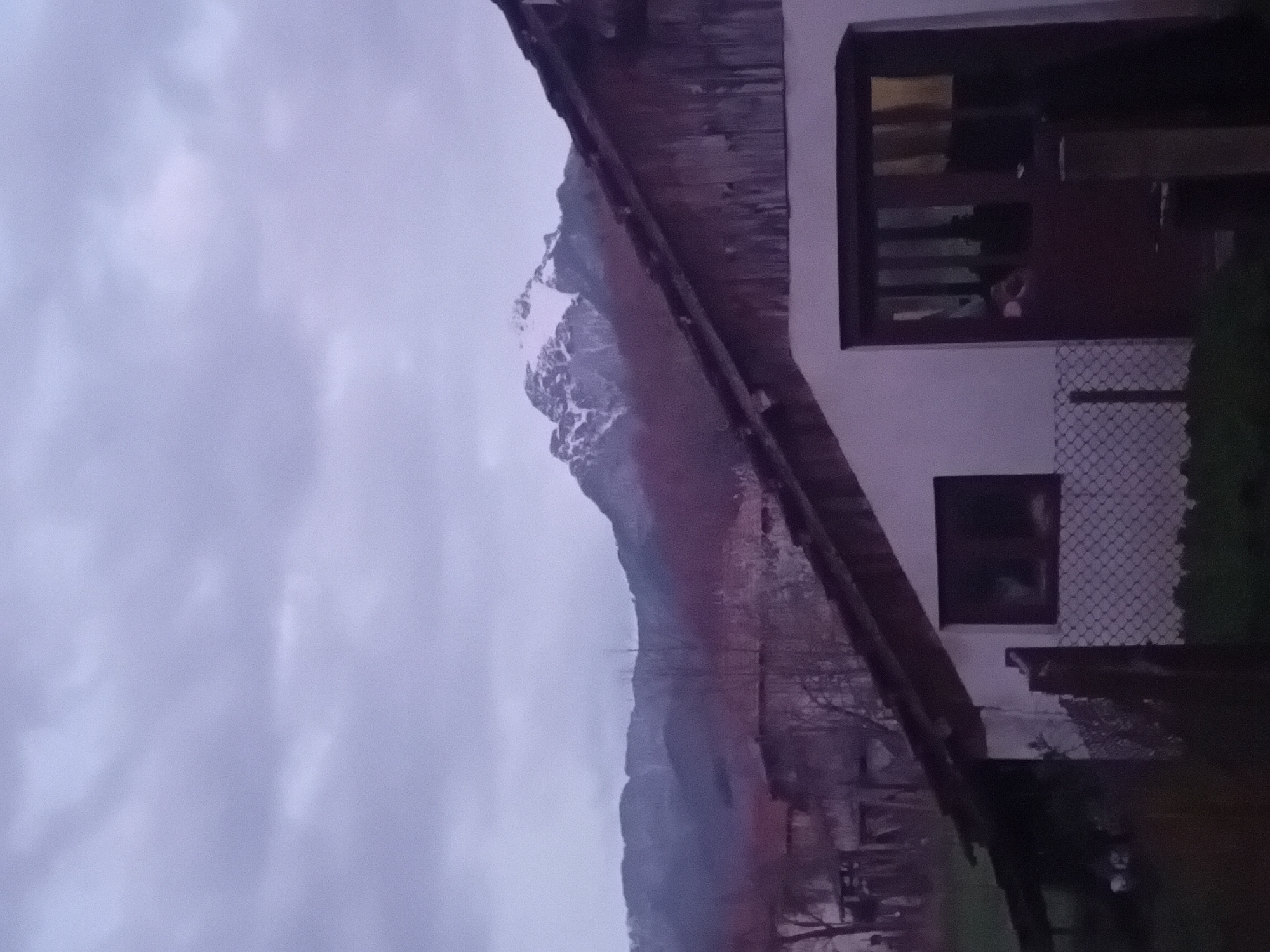 Rural mountain scene with cat documented by witness