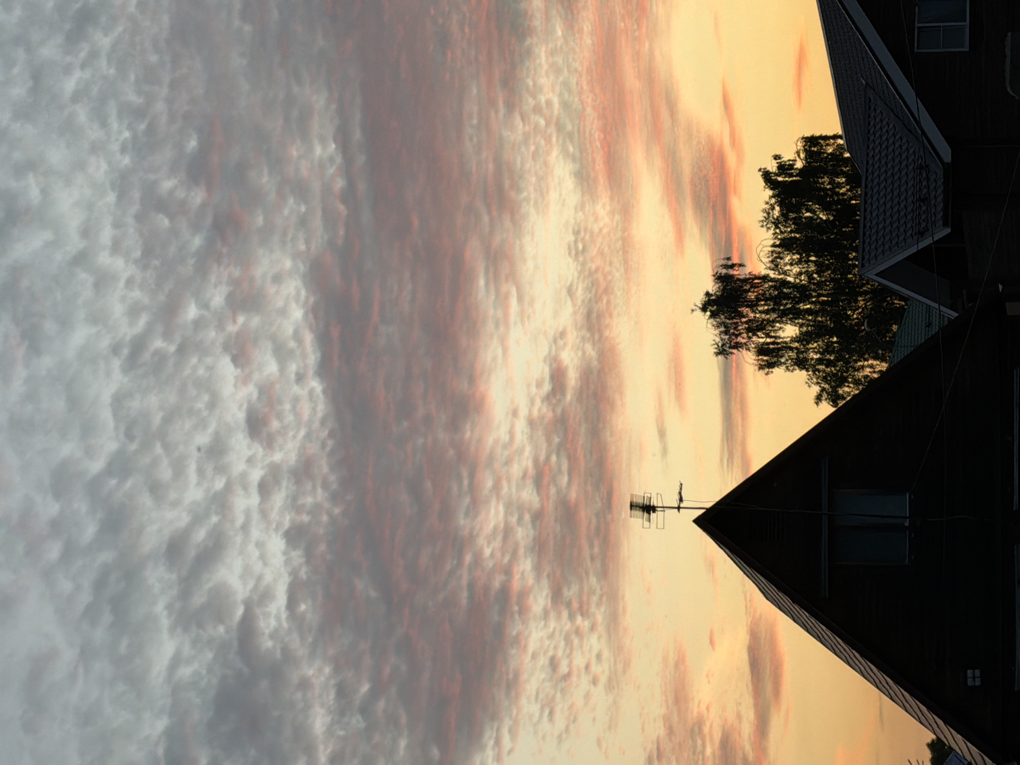 German Shepherd spotted roaming Russian village roads at sunset