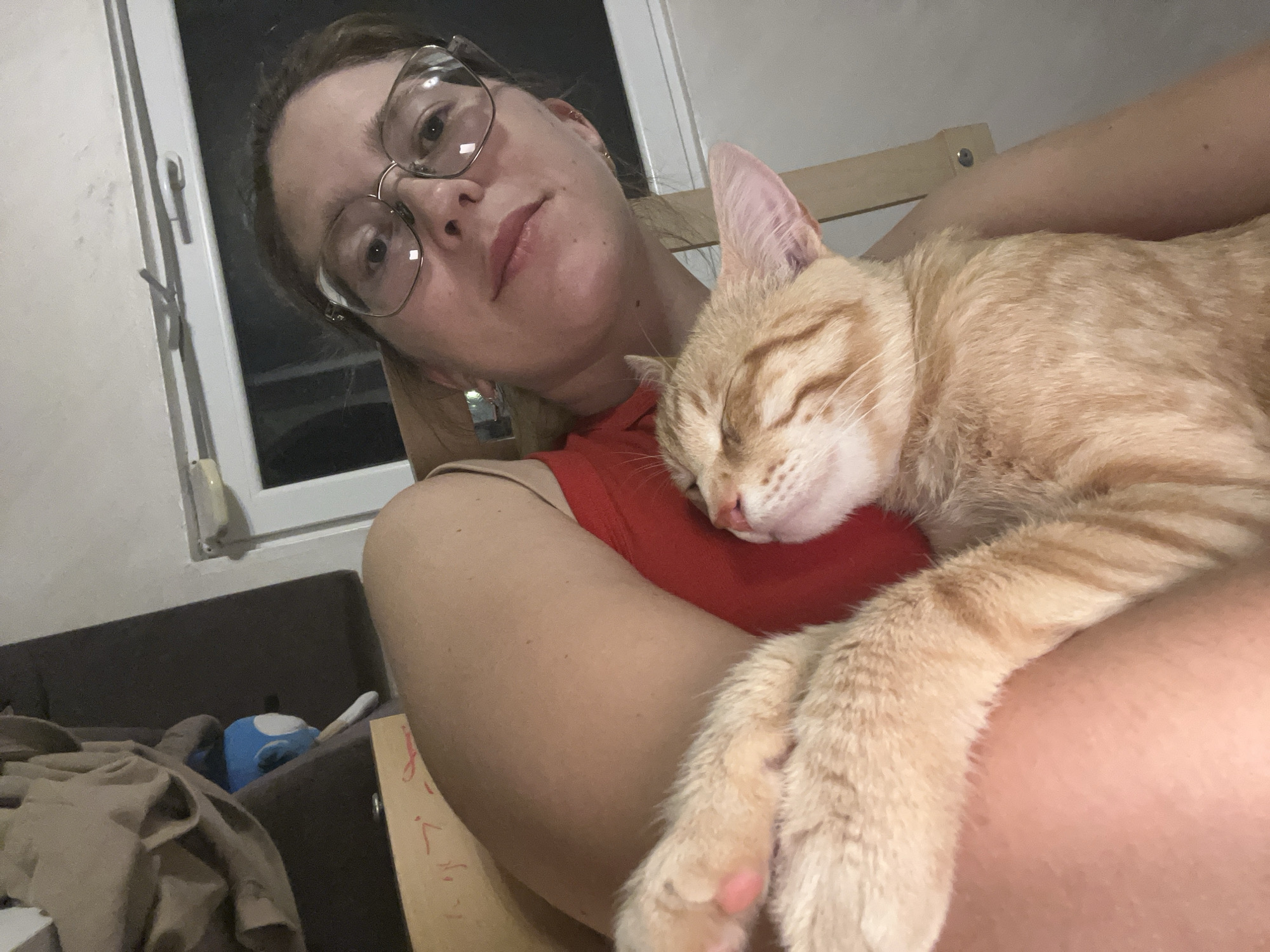 Woman holds sleeping orange cat in Podgorica
