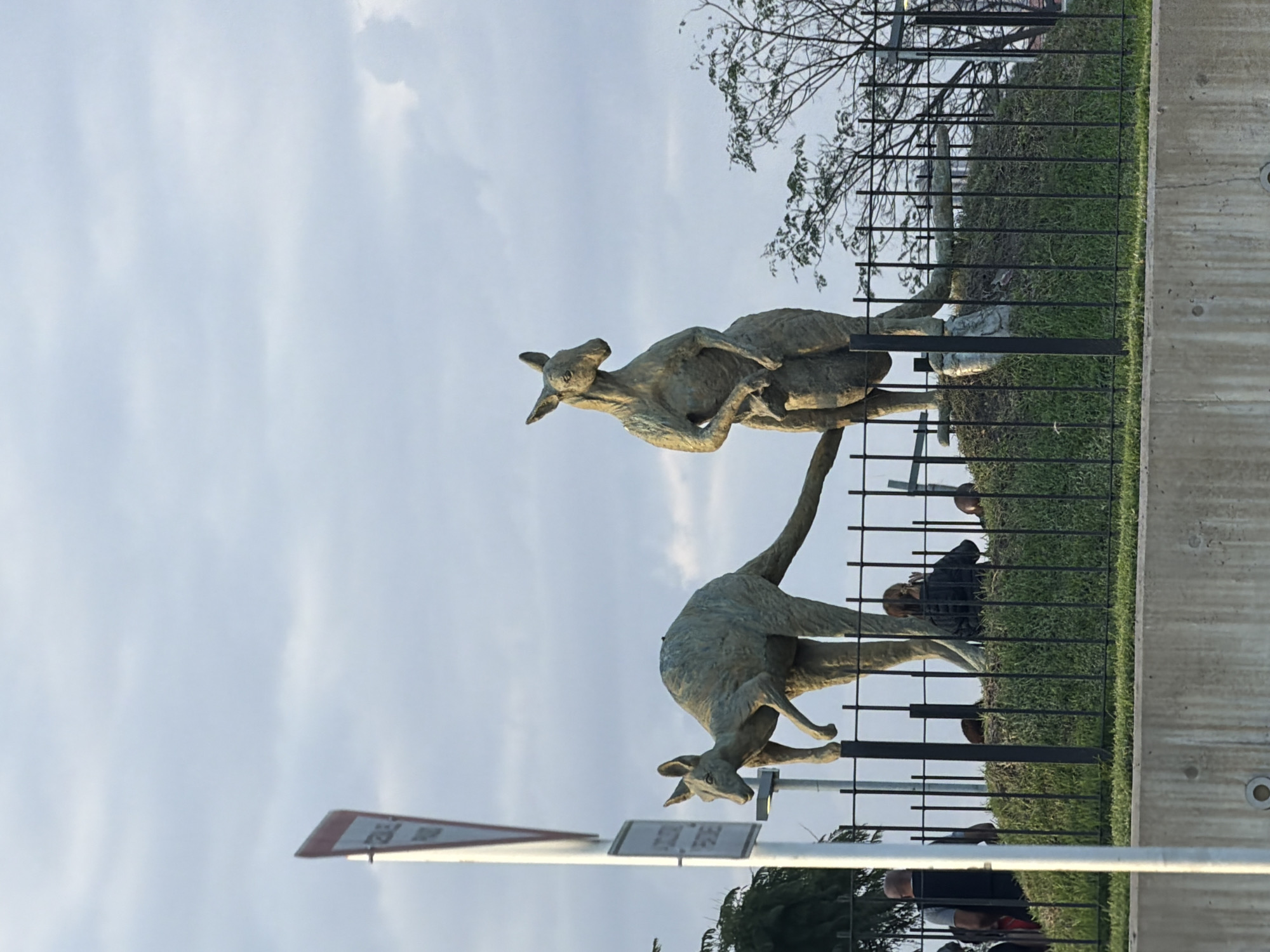 Kangaroo sculptures displayed as public art installation in Buenos Aires