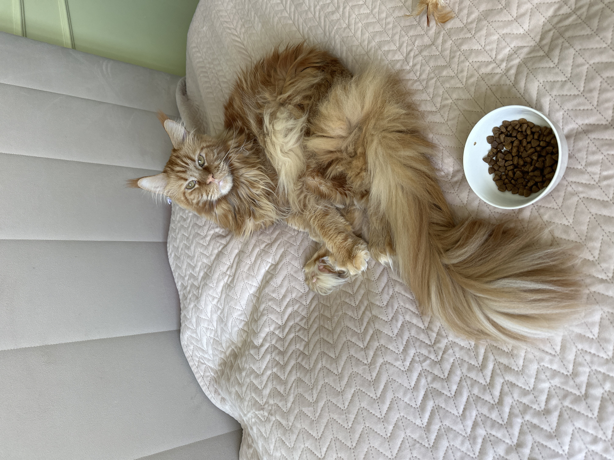 Casual morning in Chaikovsky — selfies, a cat, and street scenes