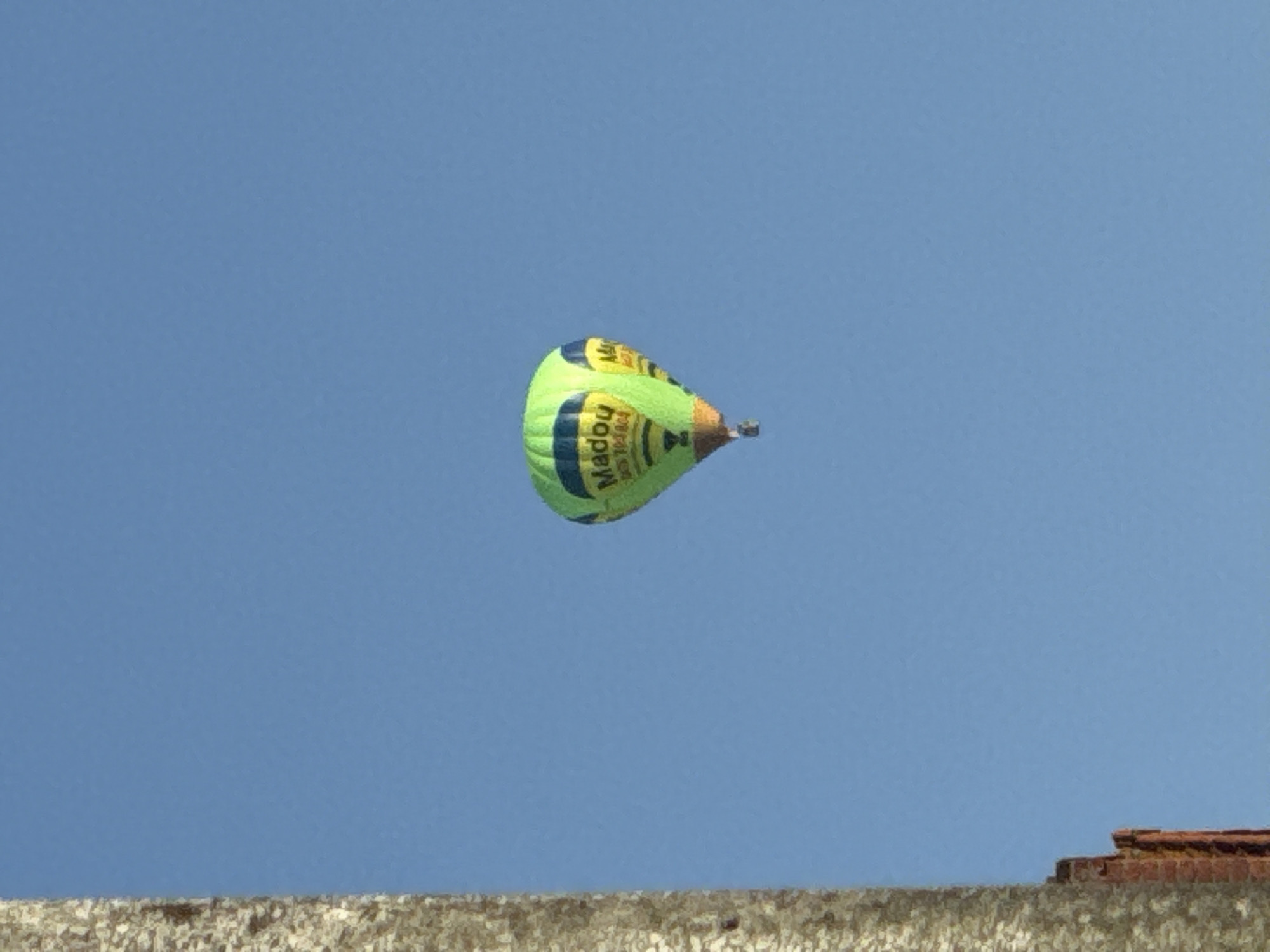 Hot air balloon, butterflies, and summer blooms over Bruges