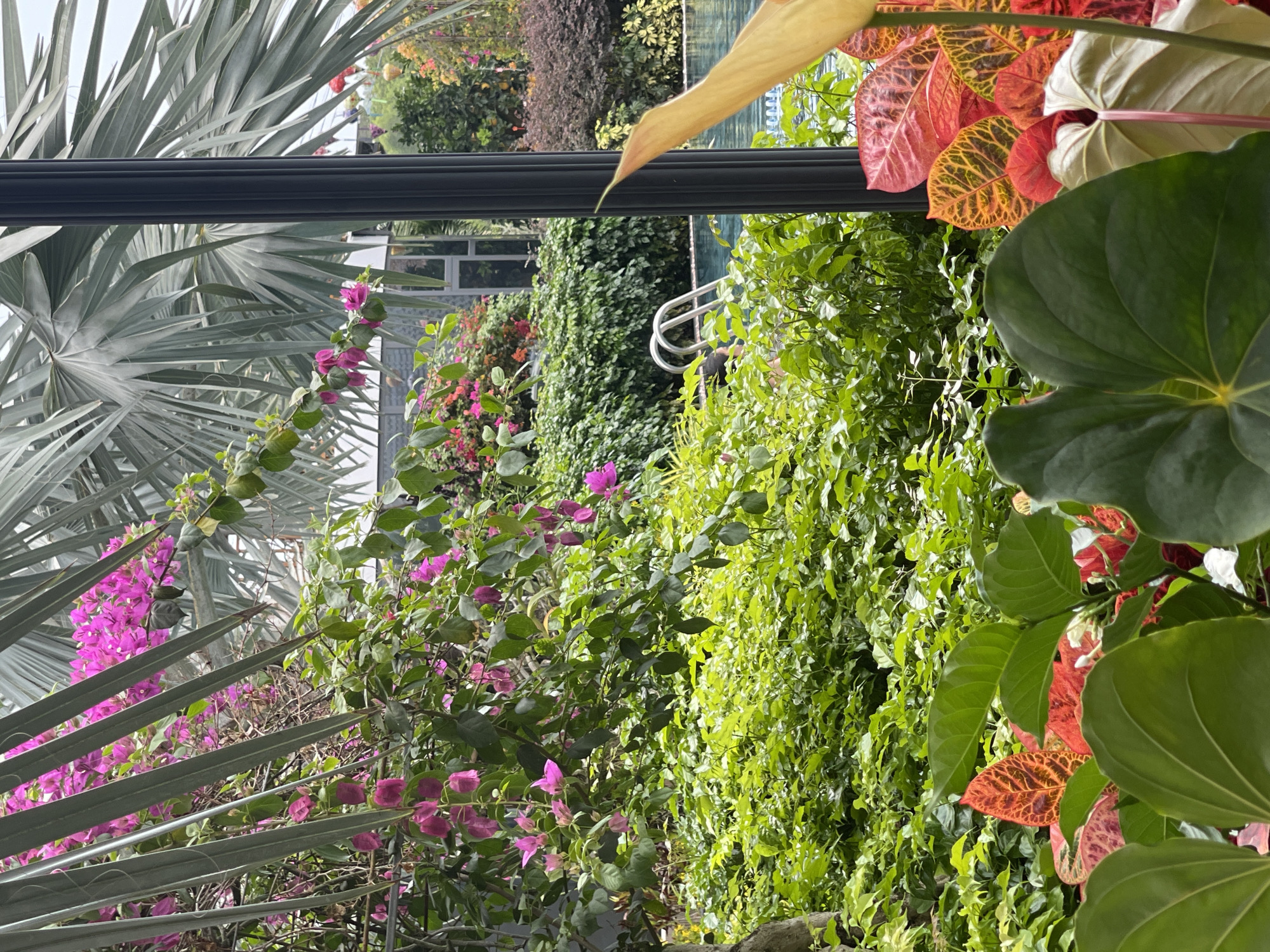 Morning documentation of Greenlife Village resort grounds in Phú Quốc