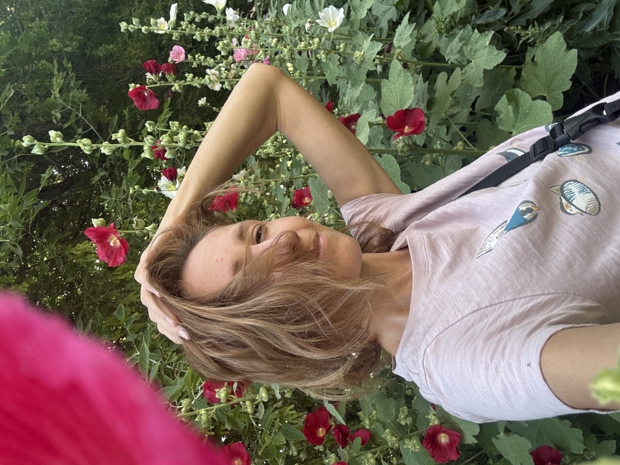 Summer morning in a Novosibirsk courtyard, flowers and Soviet blocks