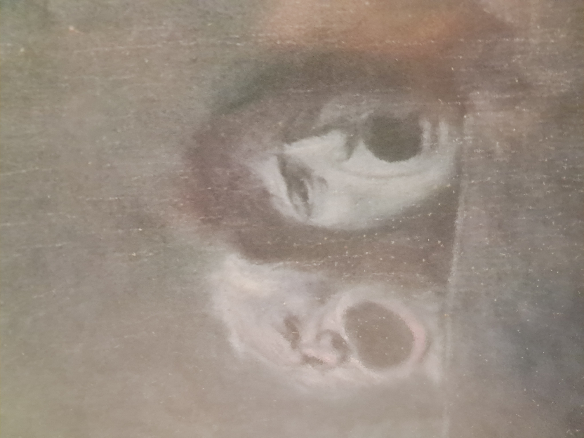 Nighttime observations capture art, nature, vehicle in Vicente López