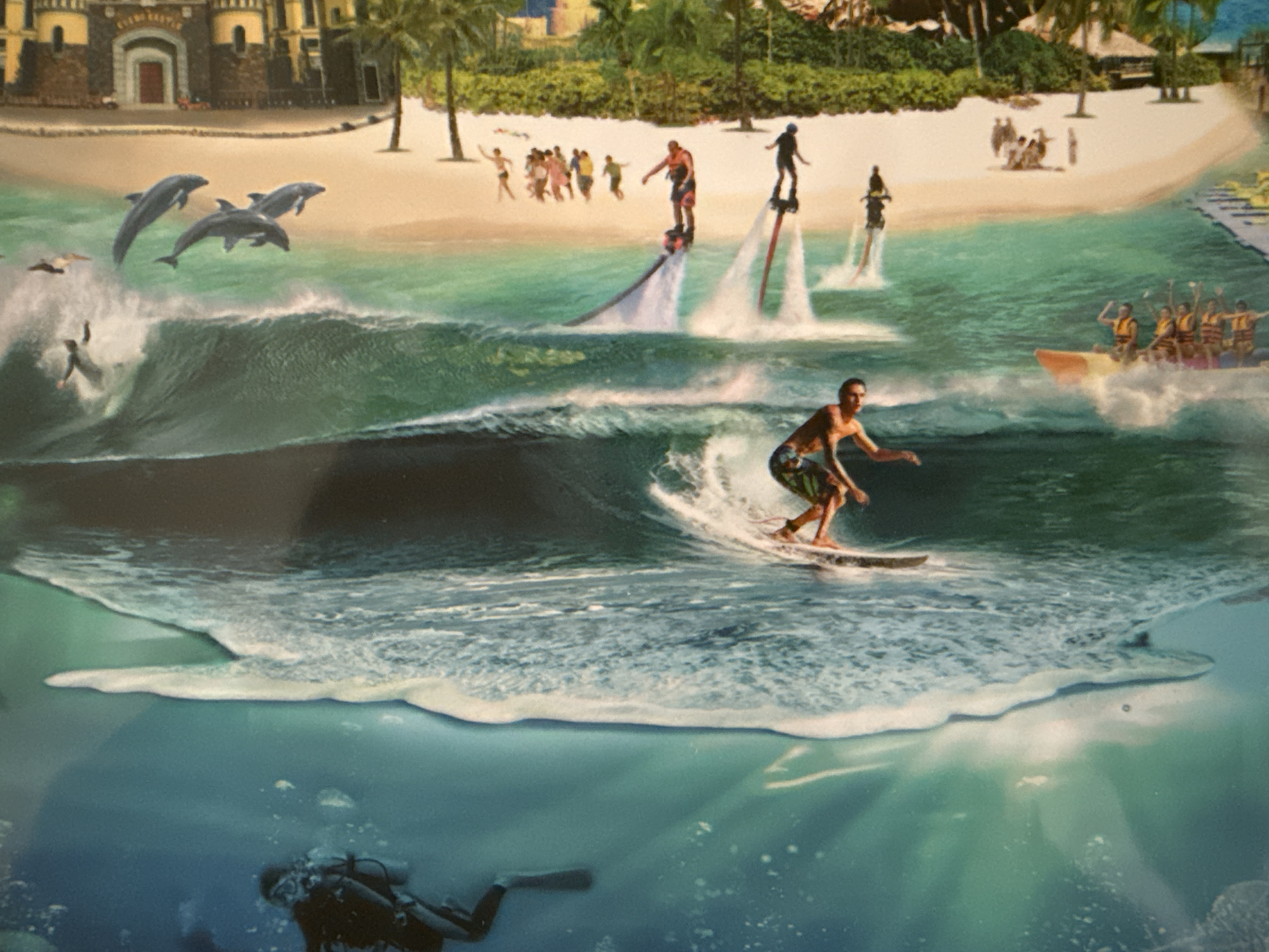 Morning witness captures diverse scenes from ocean to forest to home