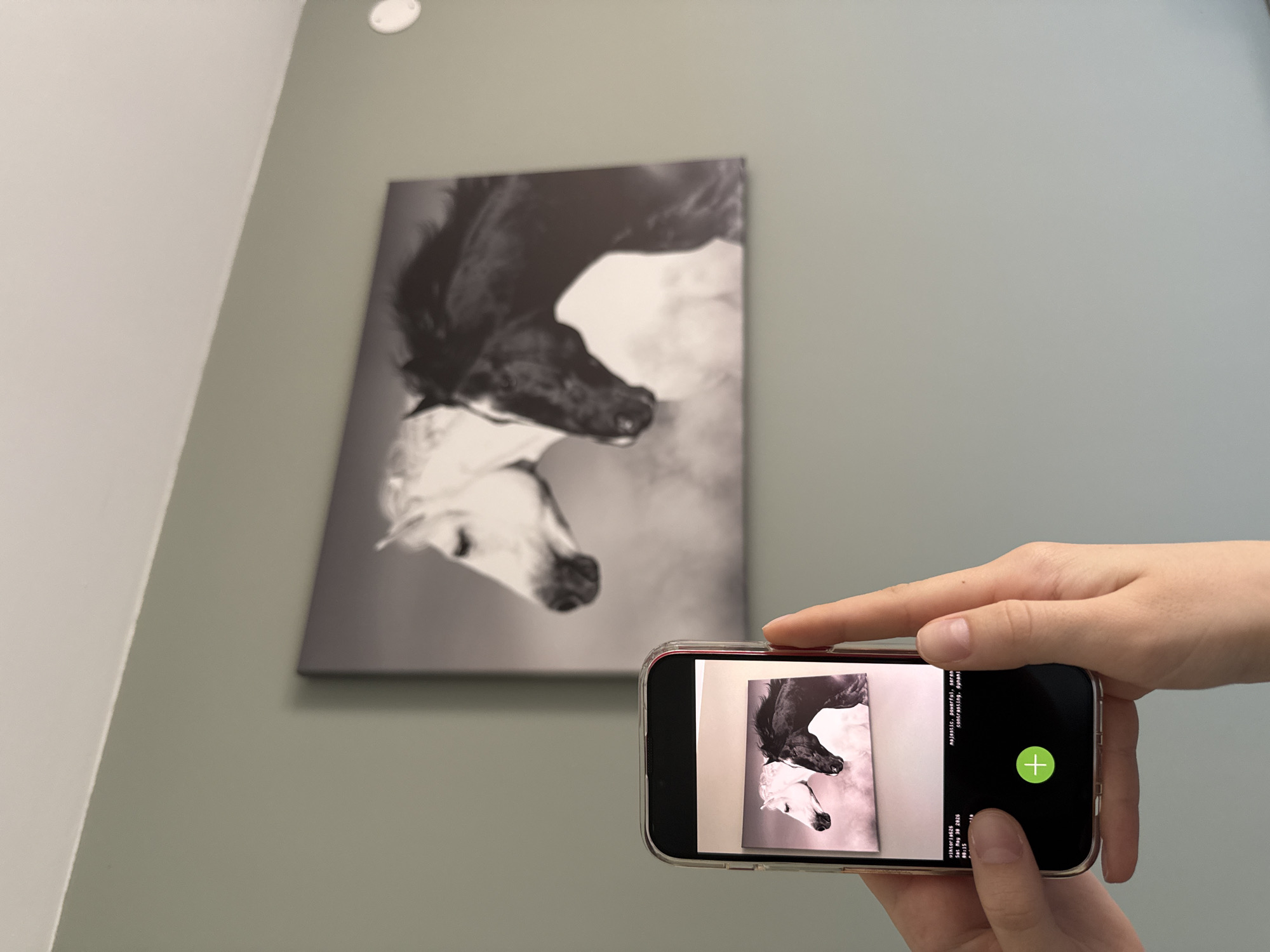 Person documents home interior art and furnishings in Sofia