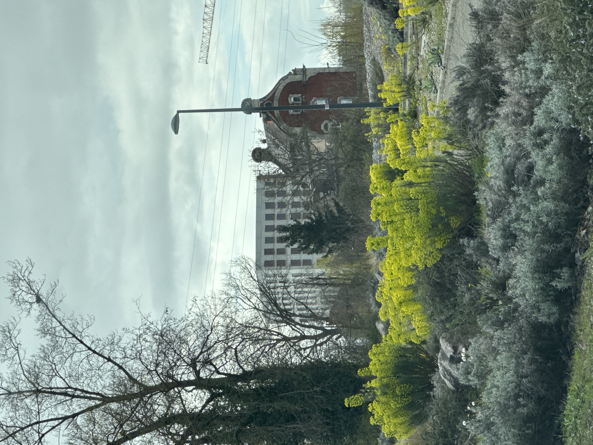 Afternoon urban scenes documented across Strasbourg districts
