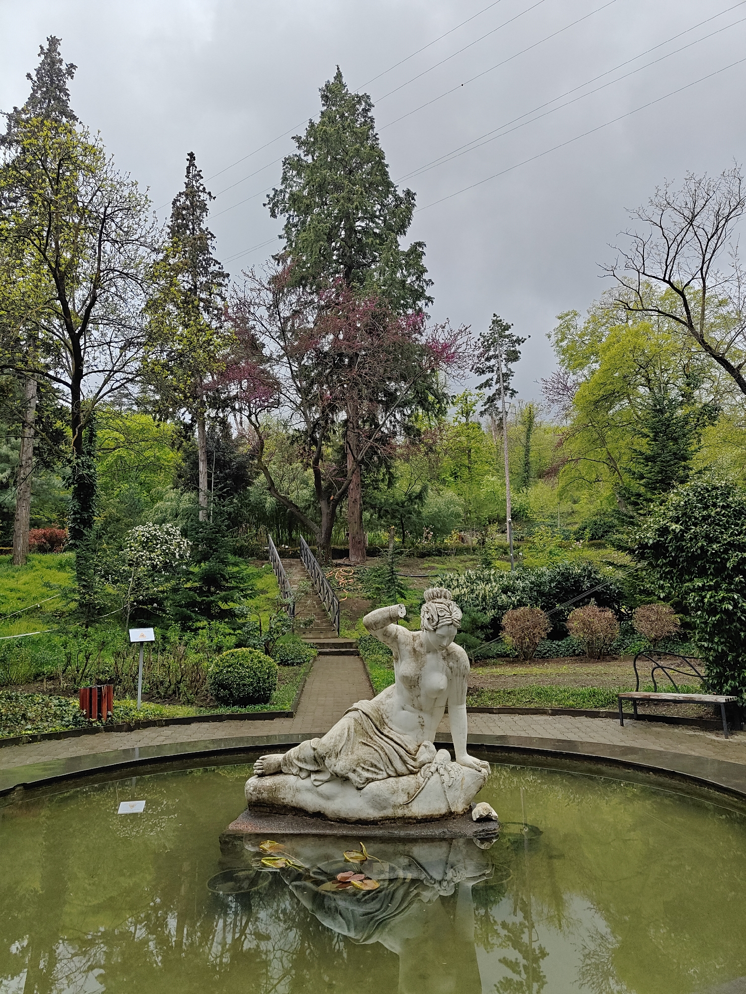 Visitor documents tranquil stroll through Tbilisi botanical garden