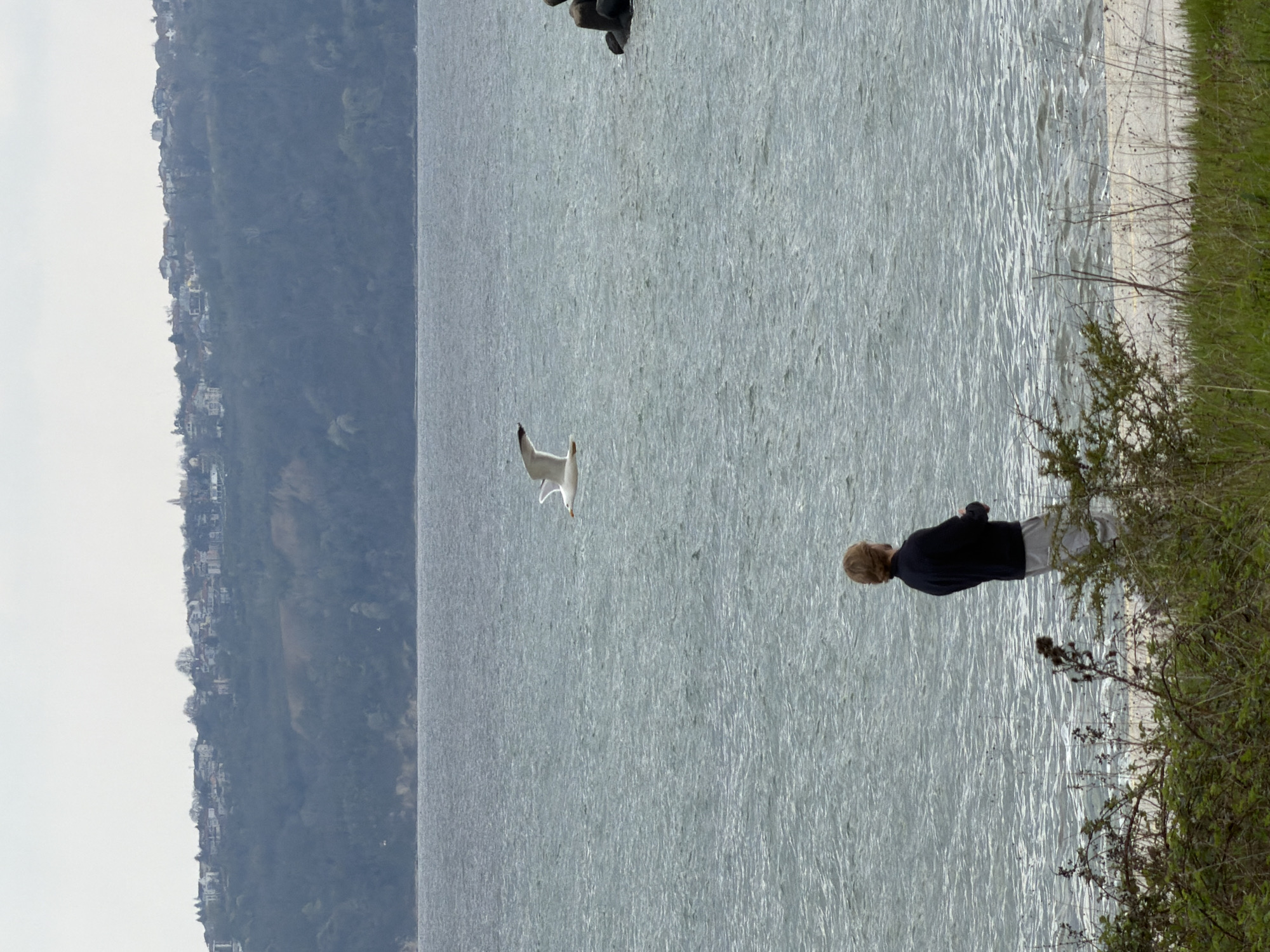 Coastal scenes documented along Varna's Black Sea shoreline